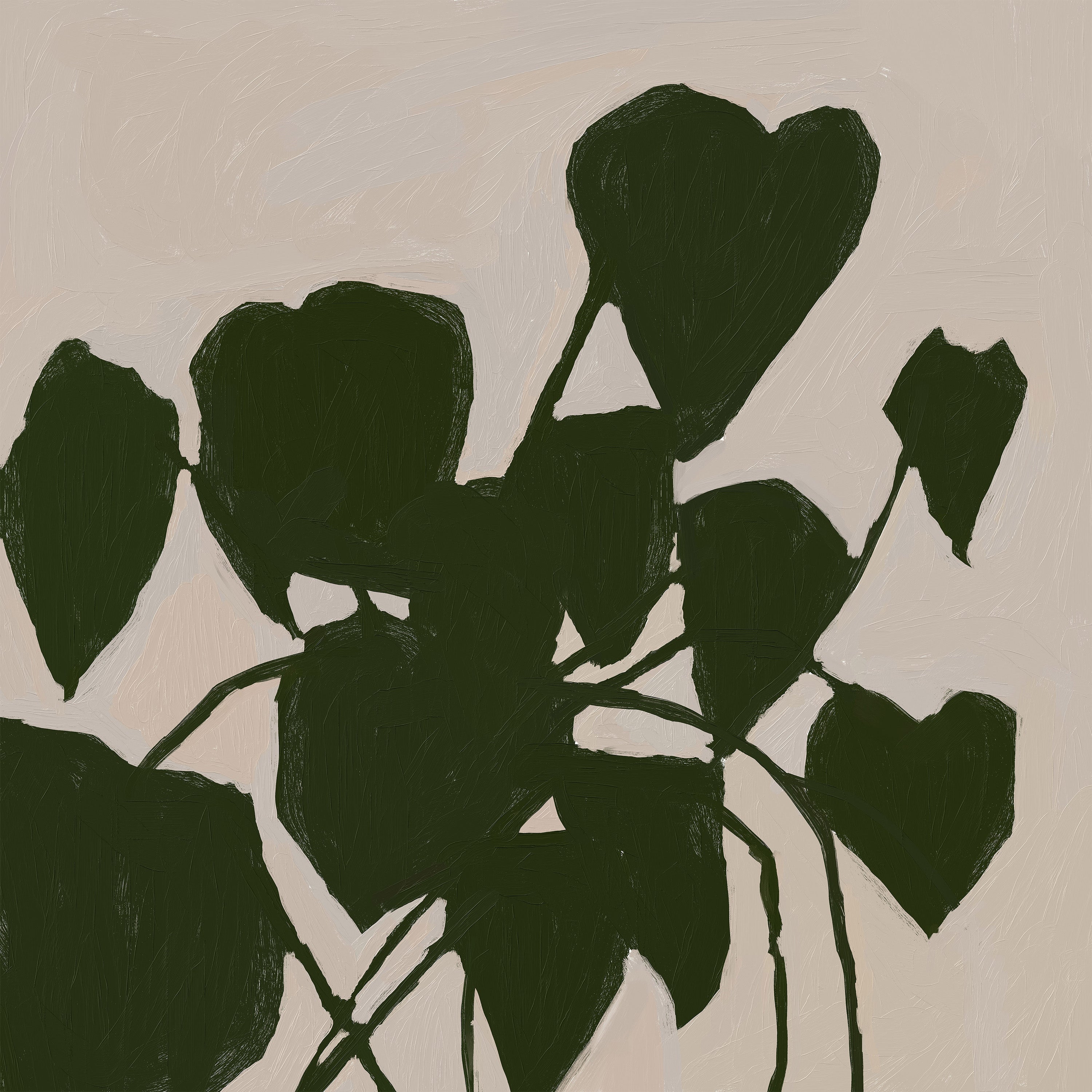 House Plant