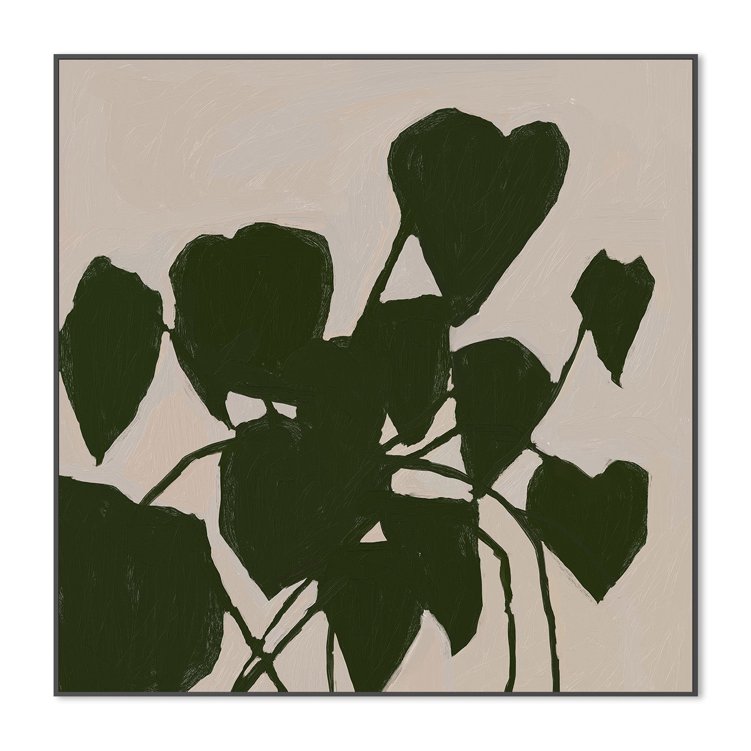 House Plant