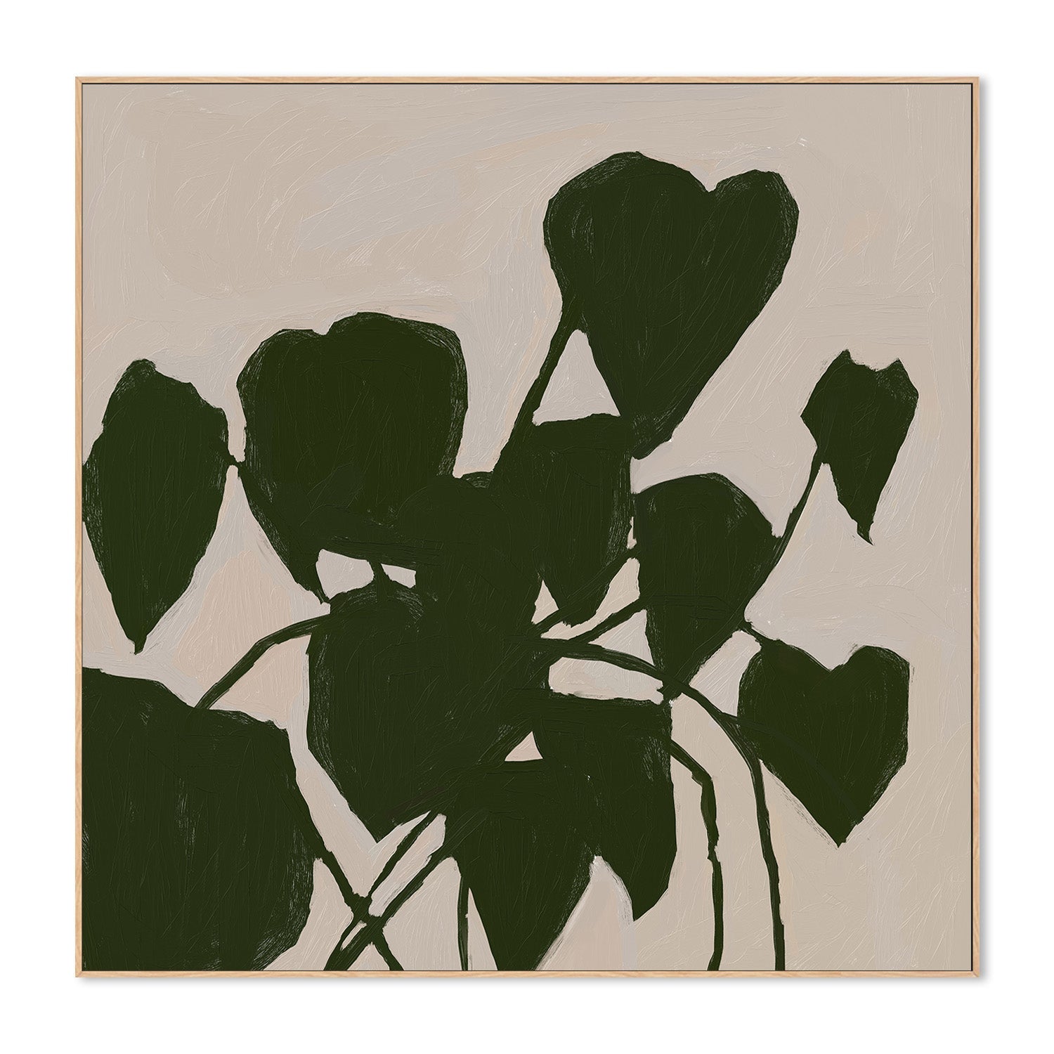 House Plant