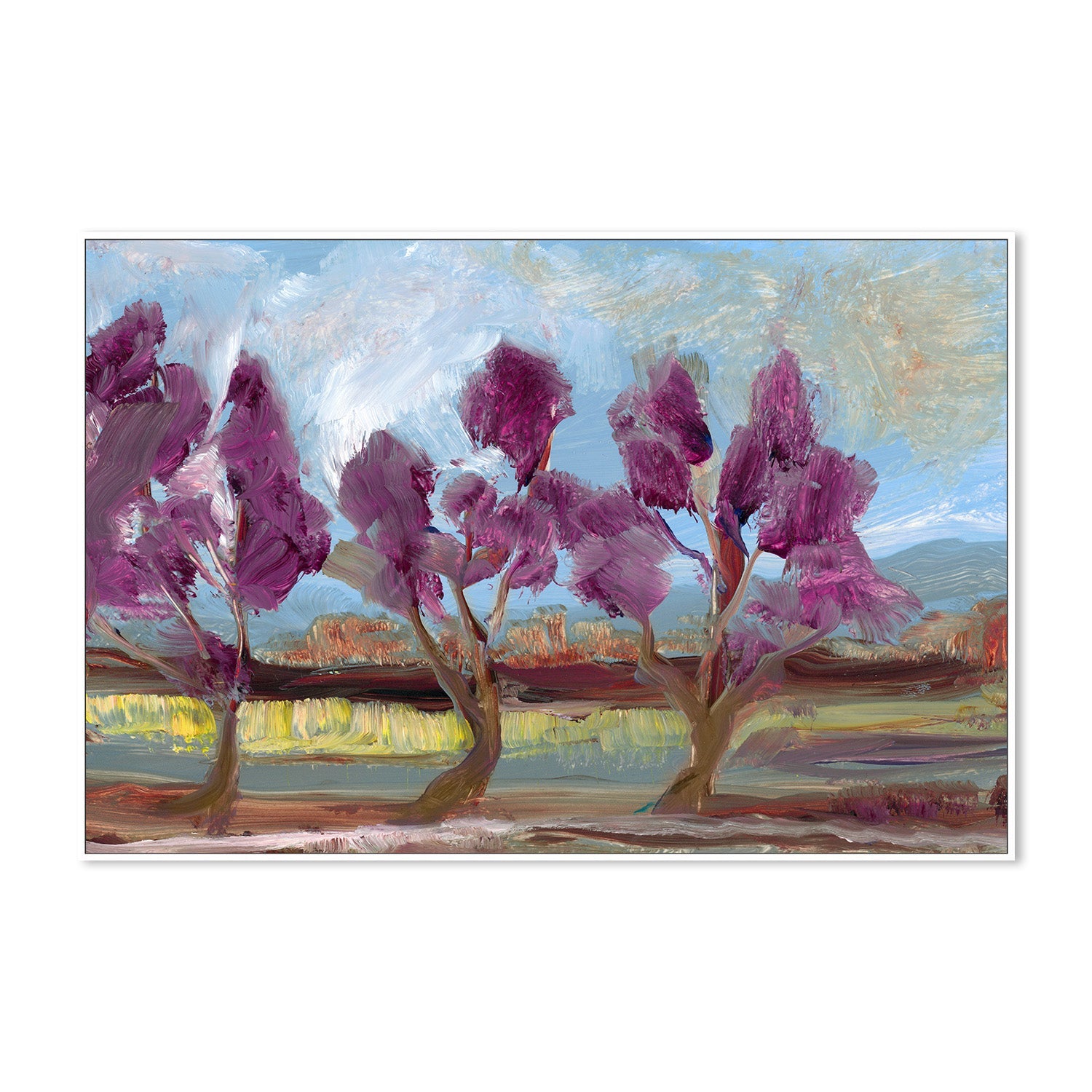 Jacaranda