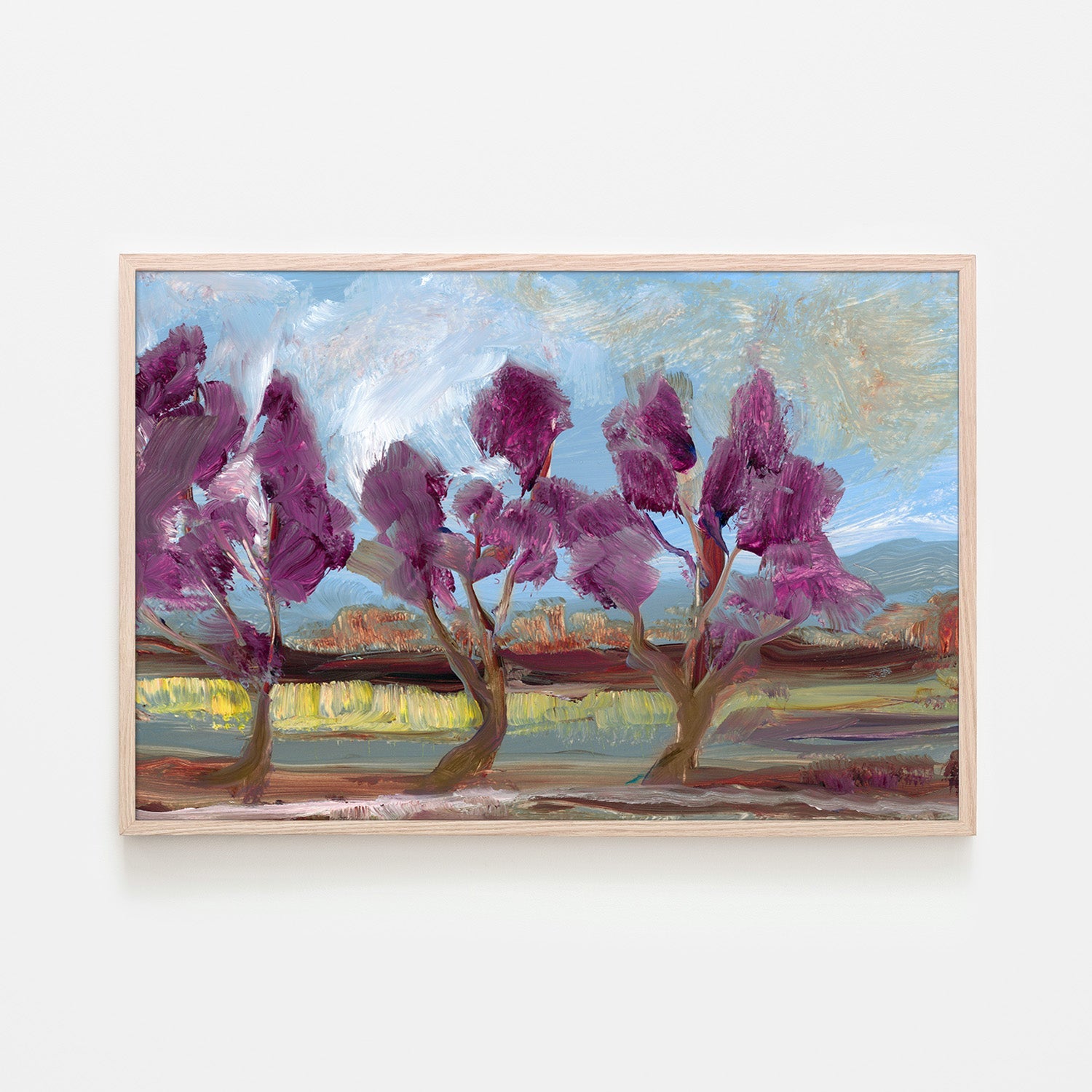 Jacaranda
