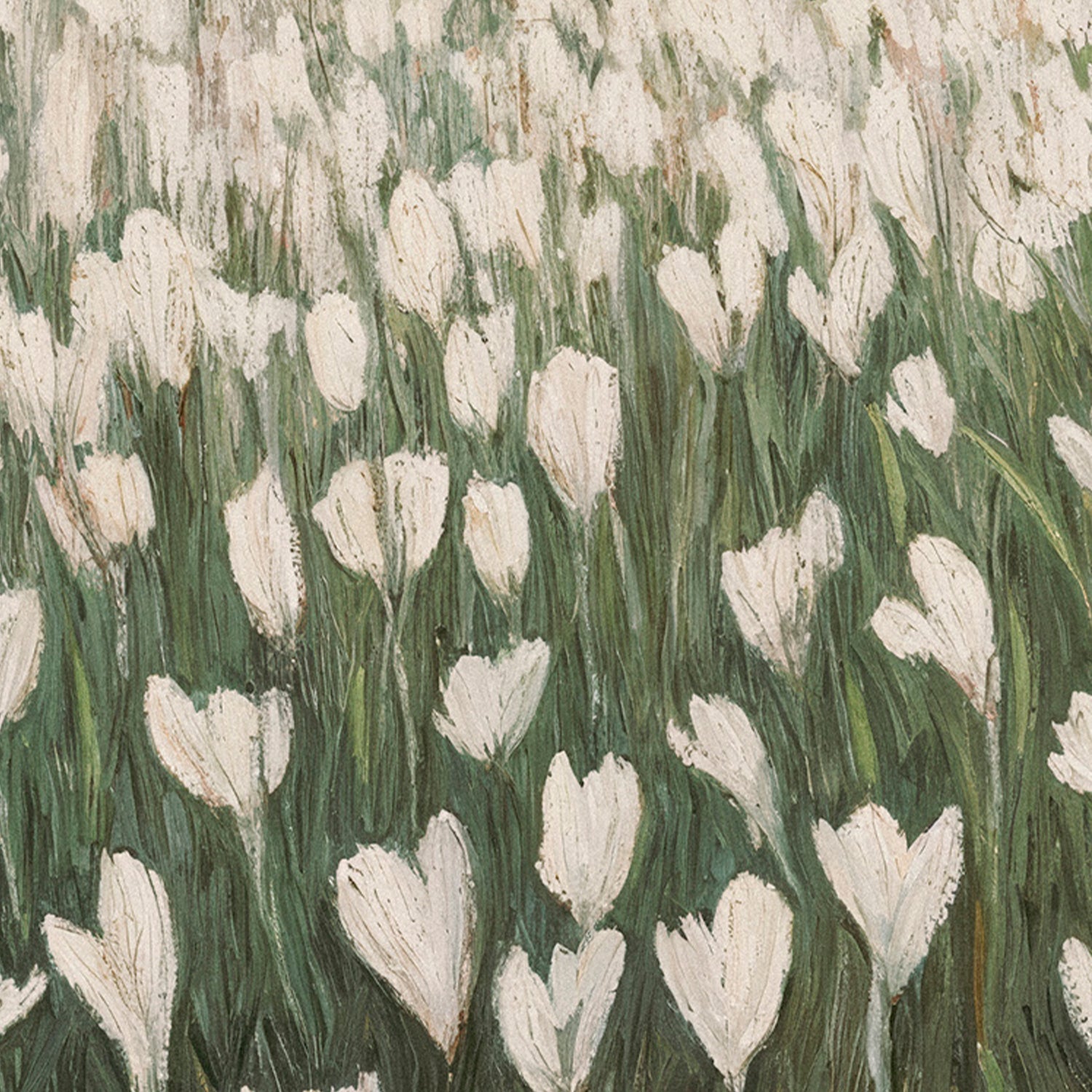 Blooming Meadow