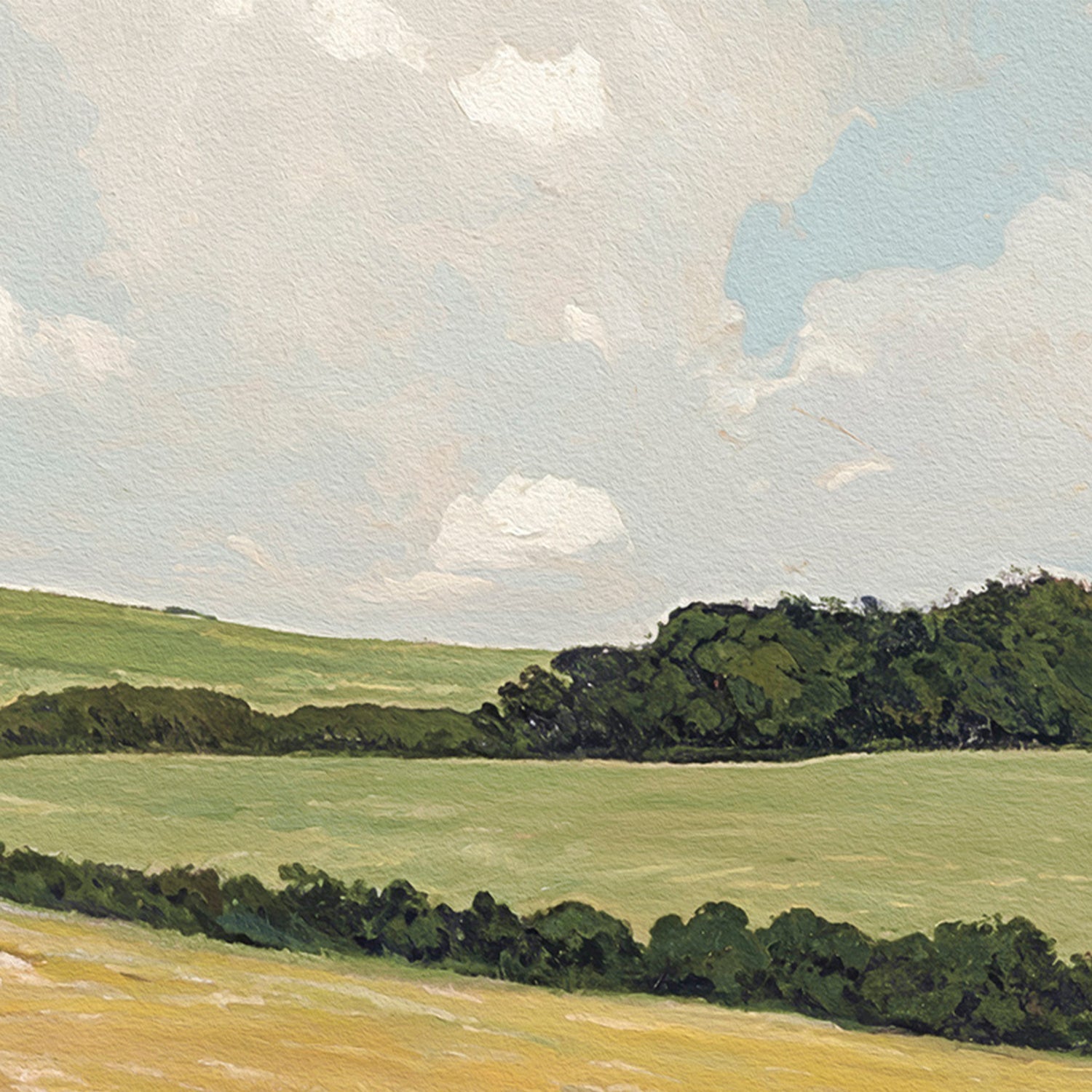 Daisy Field
