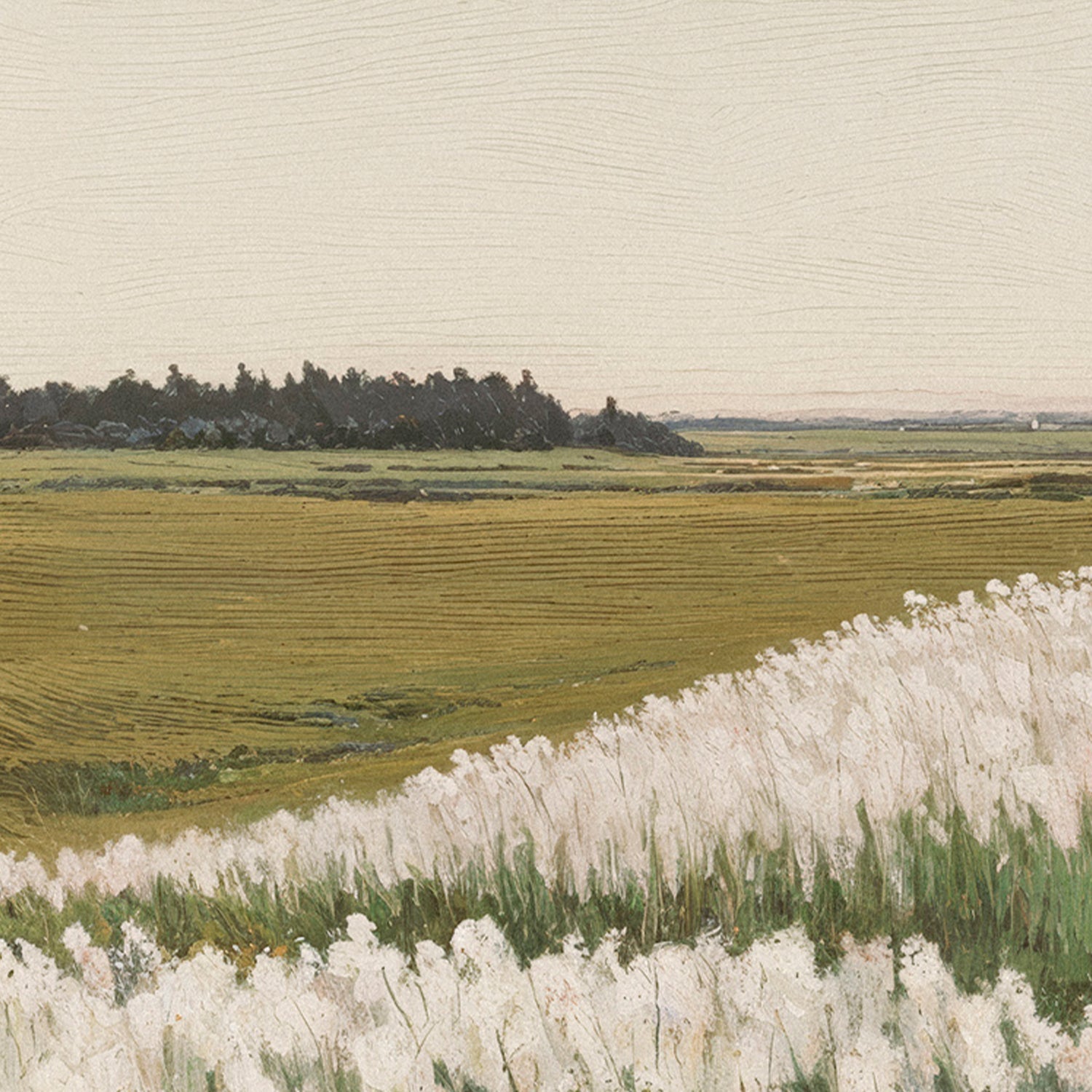 Blooming Meadow