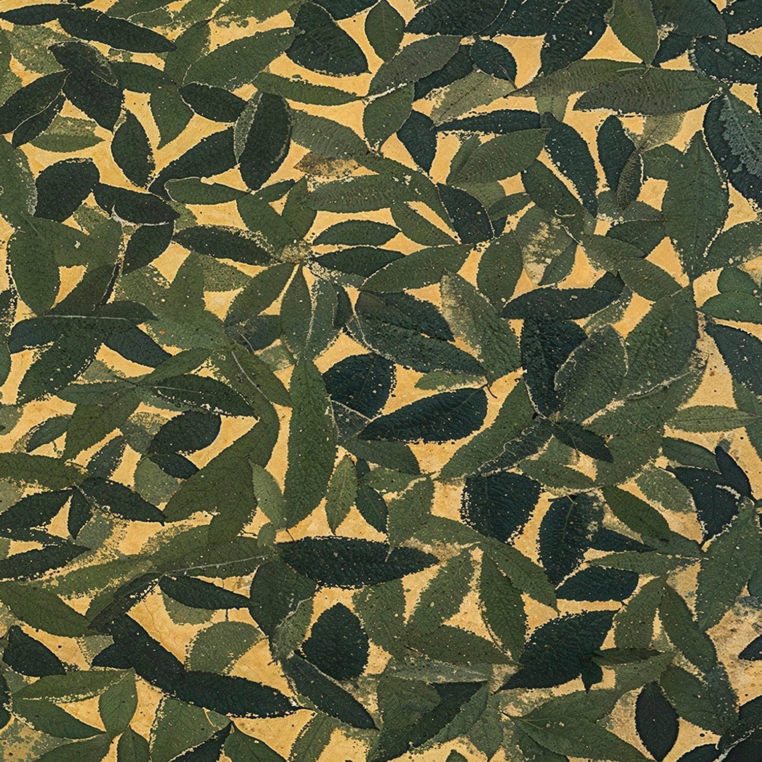 Spring Patch
