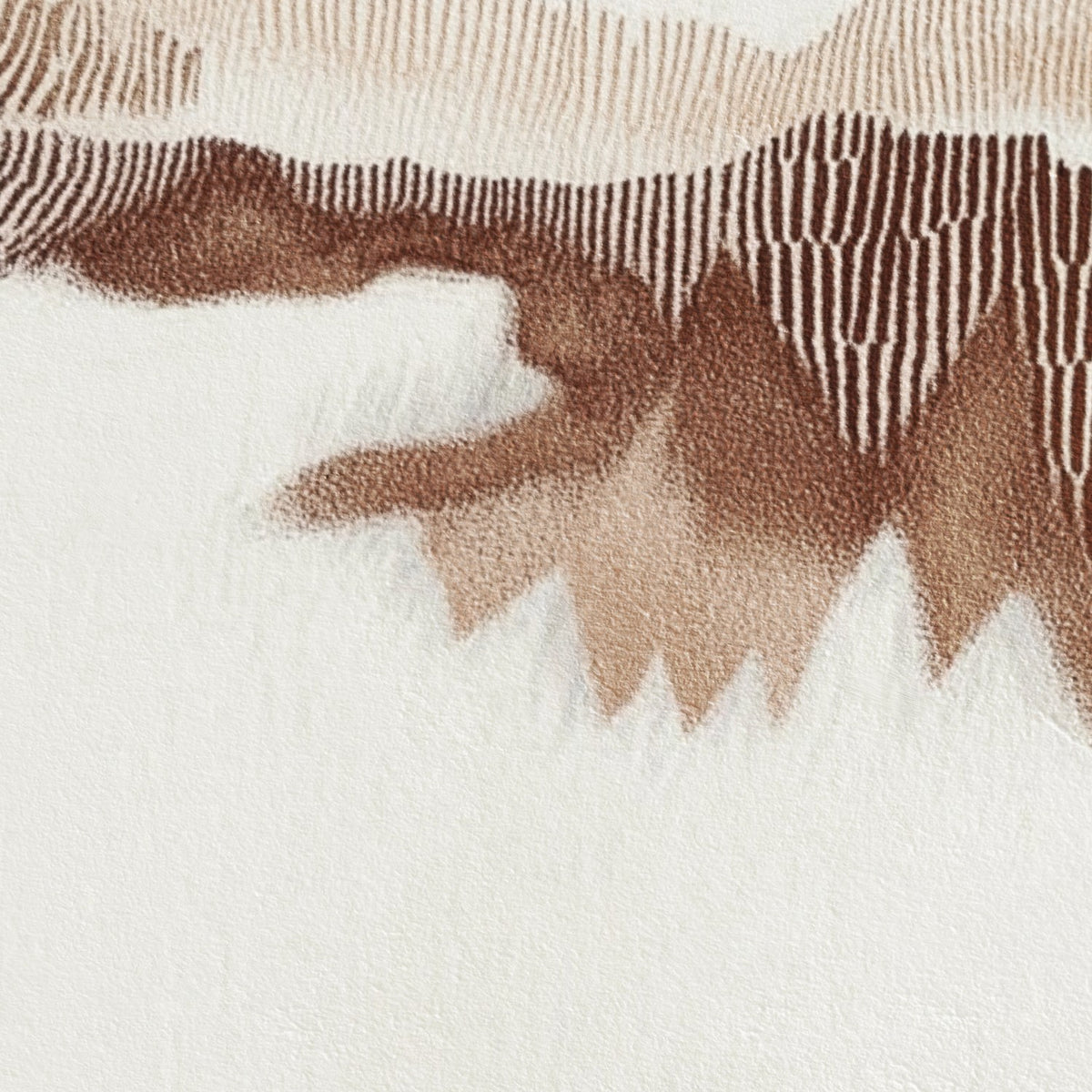 Textured Mountain Ridges