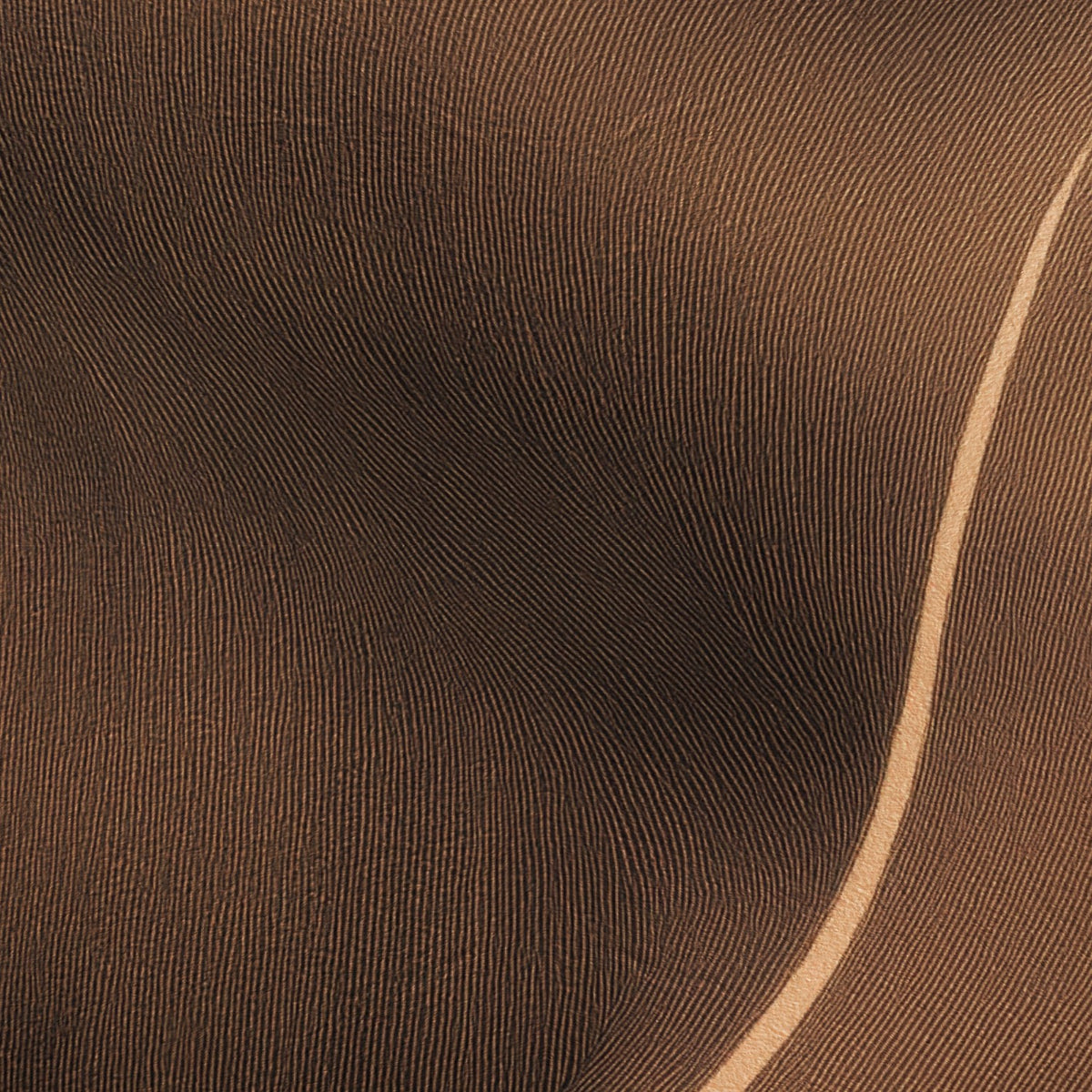 Brown Flowing Curves