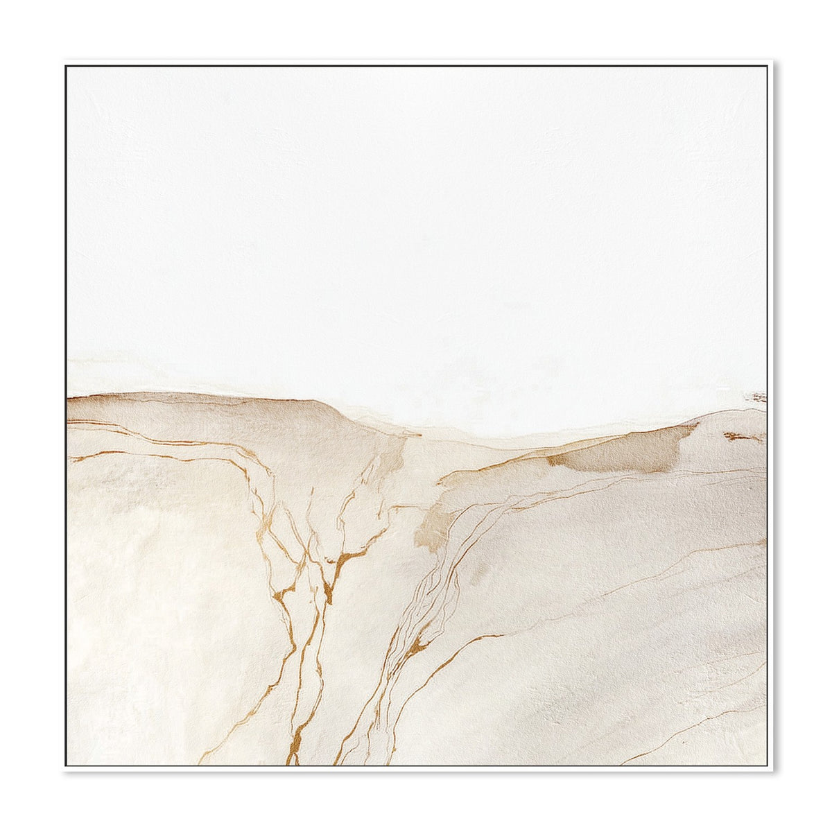 Golden Desert Lines
