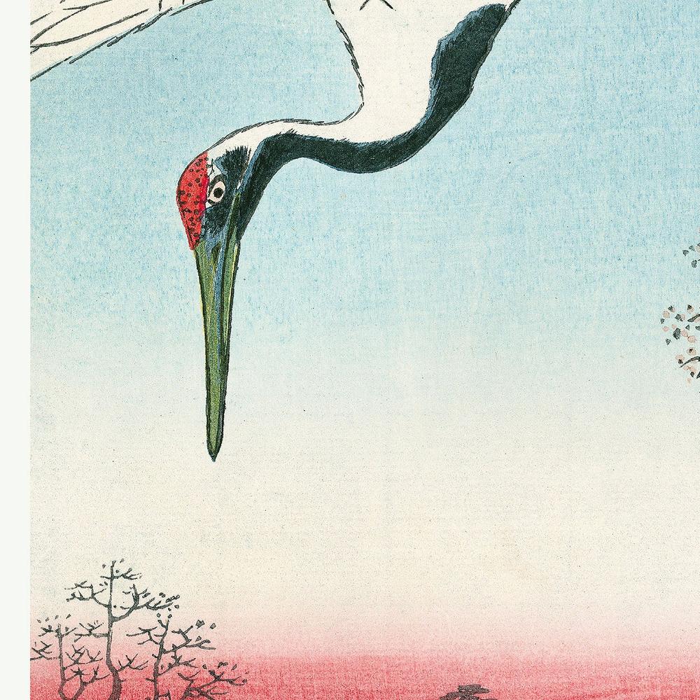 Minowa Kanasugi and Mikawashima