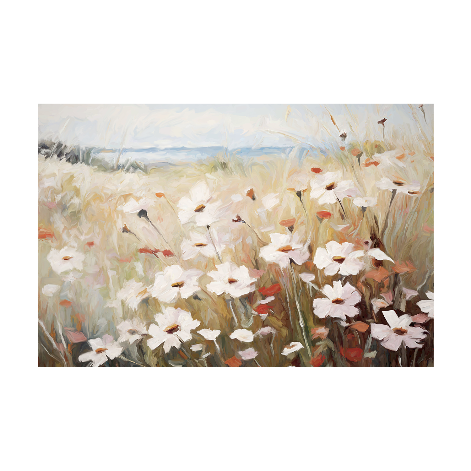 Poppies And Daisies