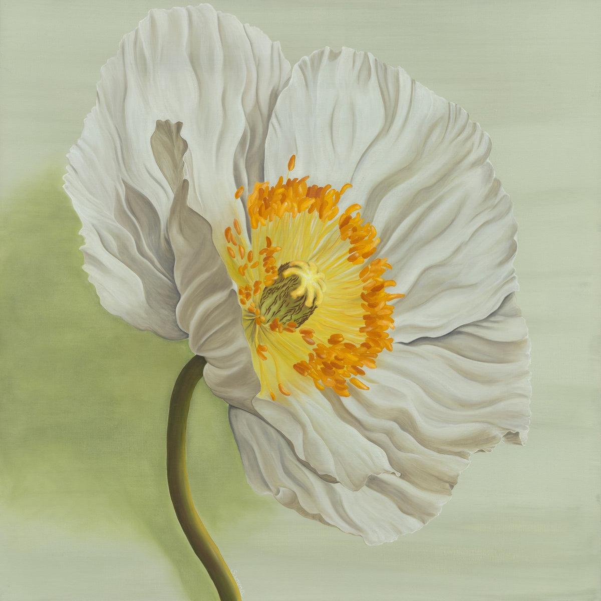 Single White Flower
