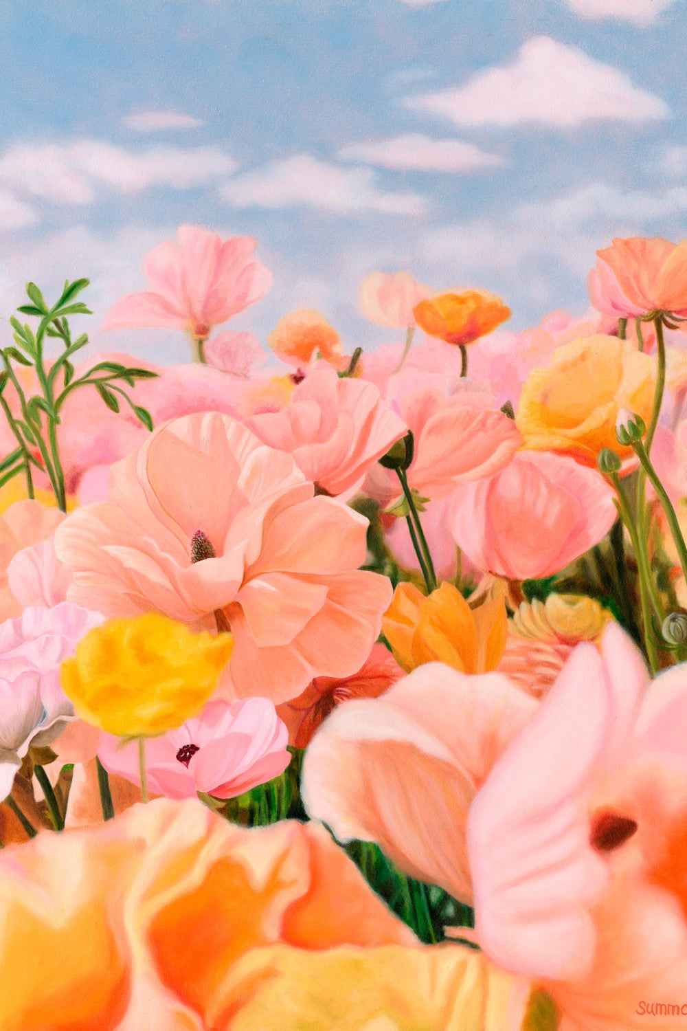 Pink Field of Dreams