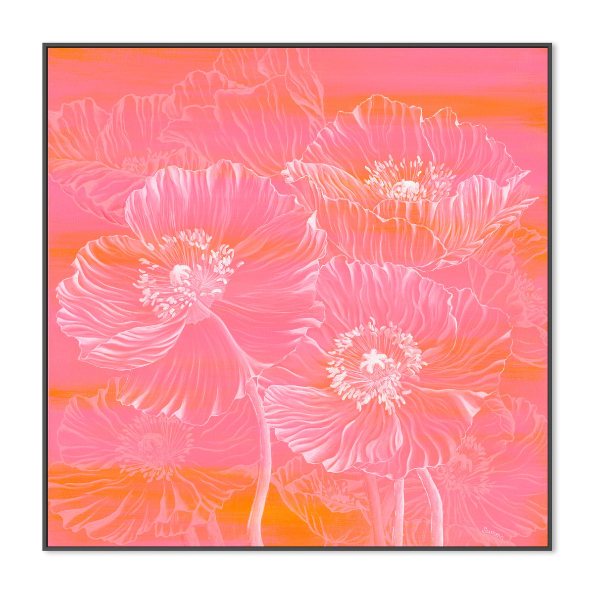 Poppies