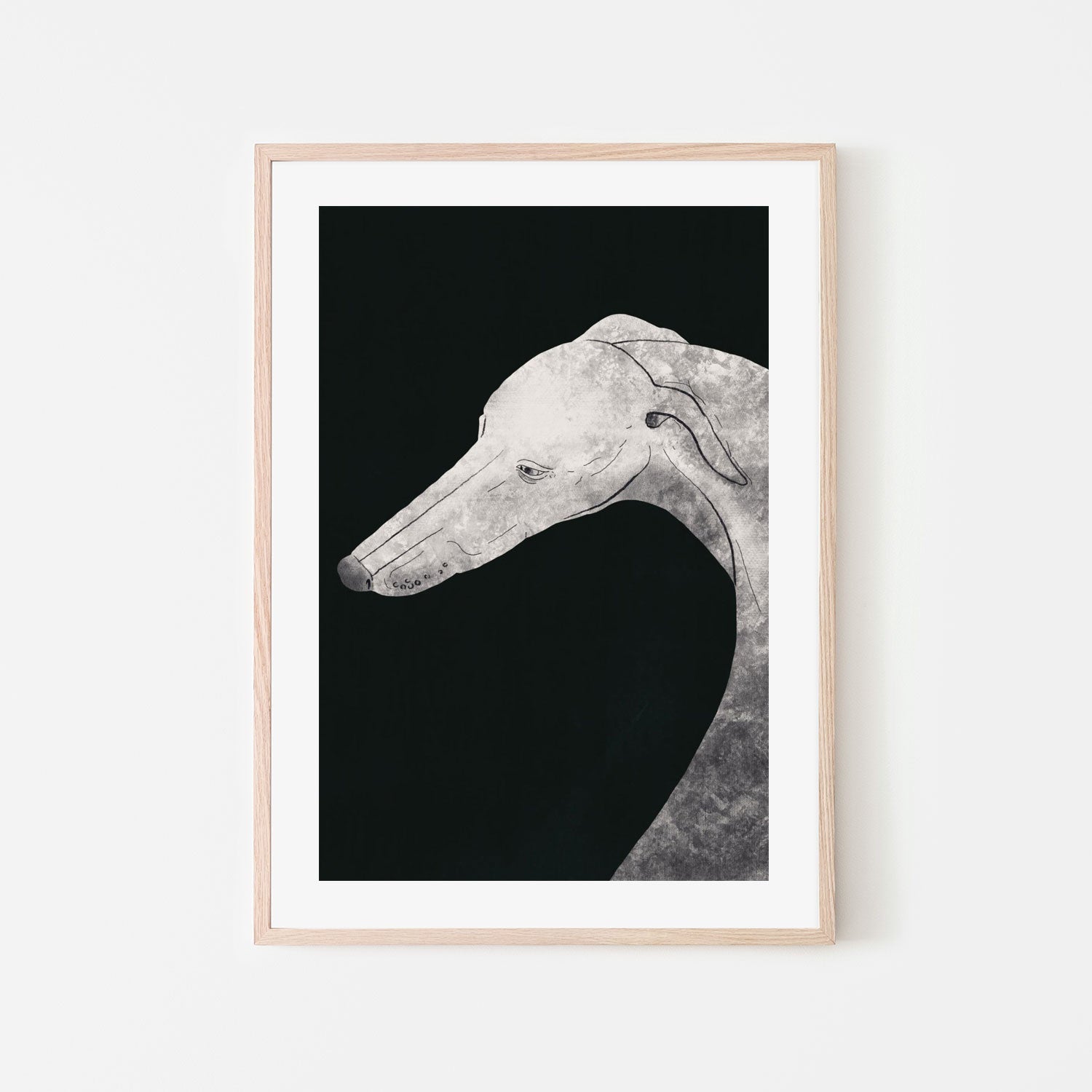 Greyhound