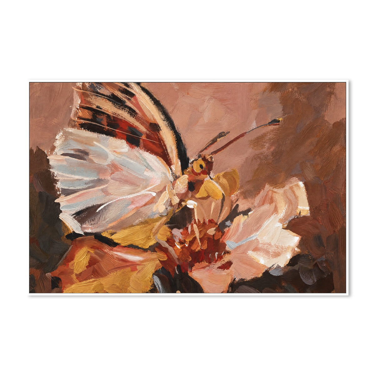 Butterfly on Petal