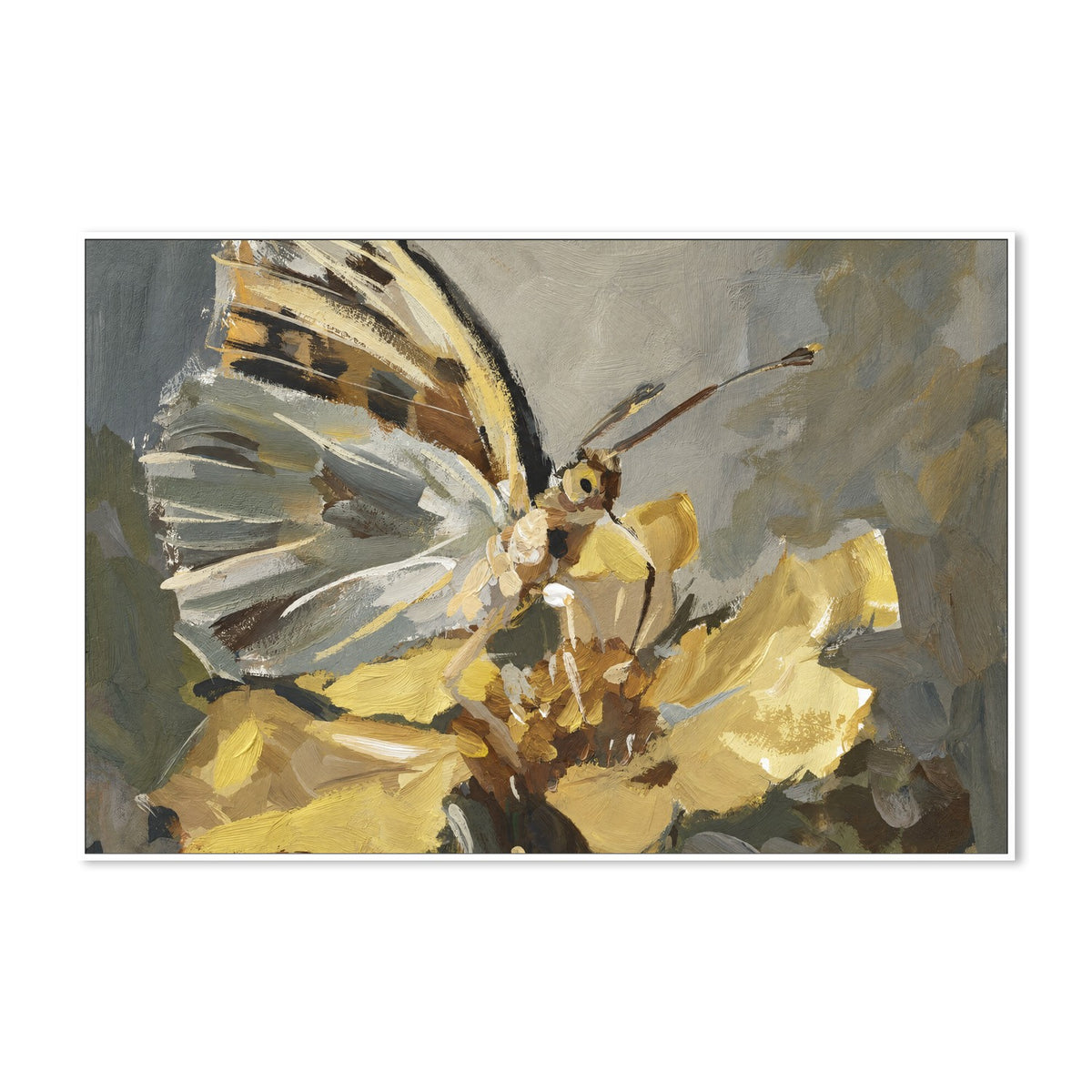 Butterfly on Golden Bloom
