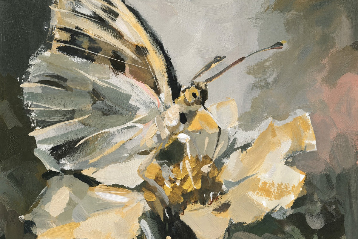 Butterfly in the Sage Garden