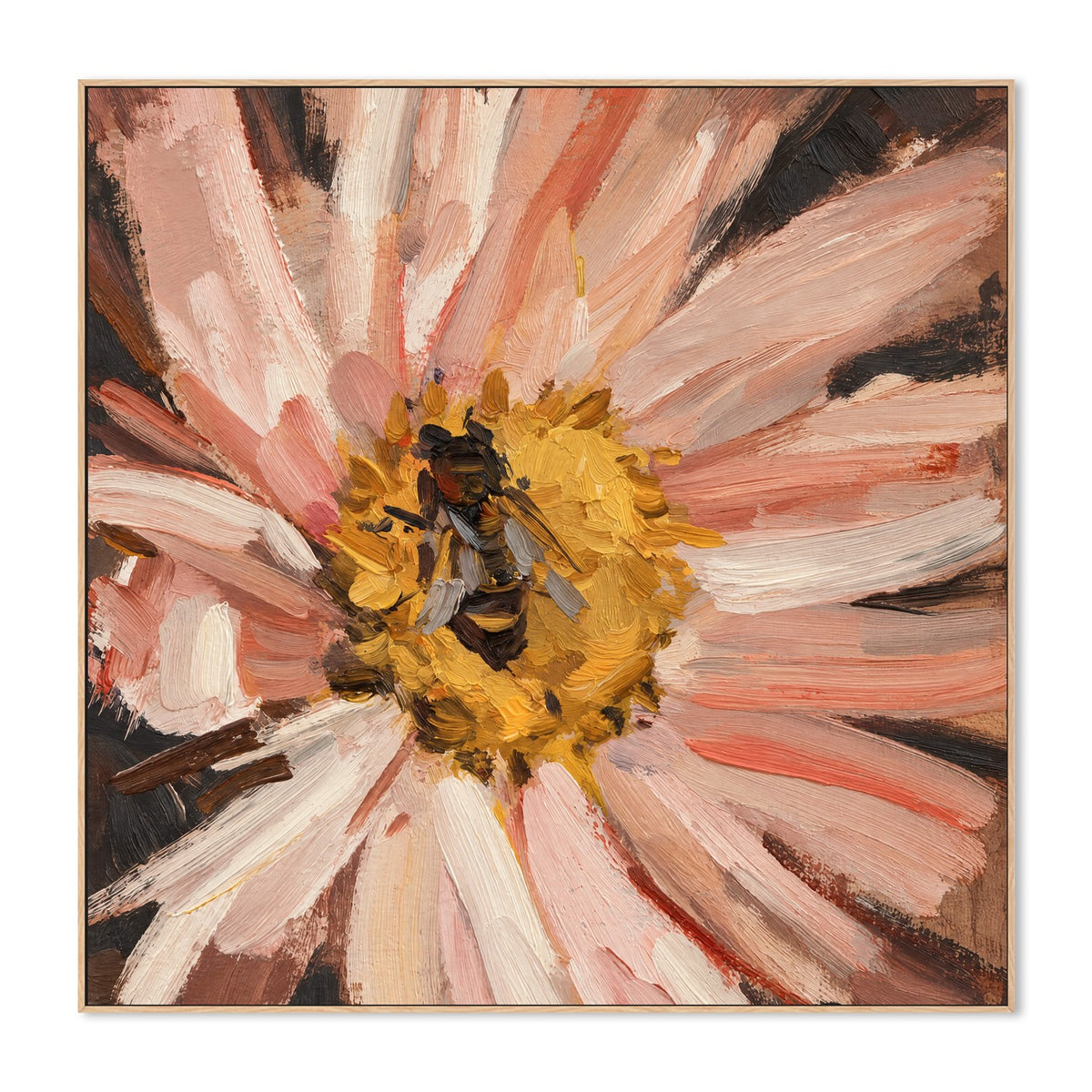 Bee on Blush Daisy
