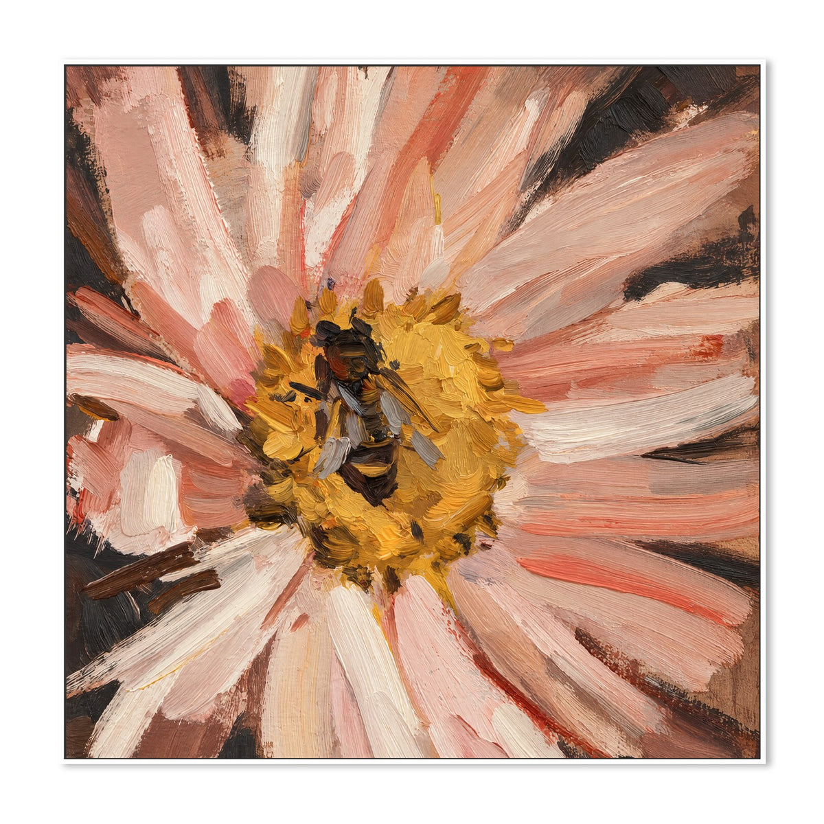 Bee on Blush Daisy