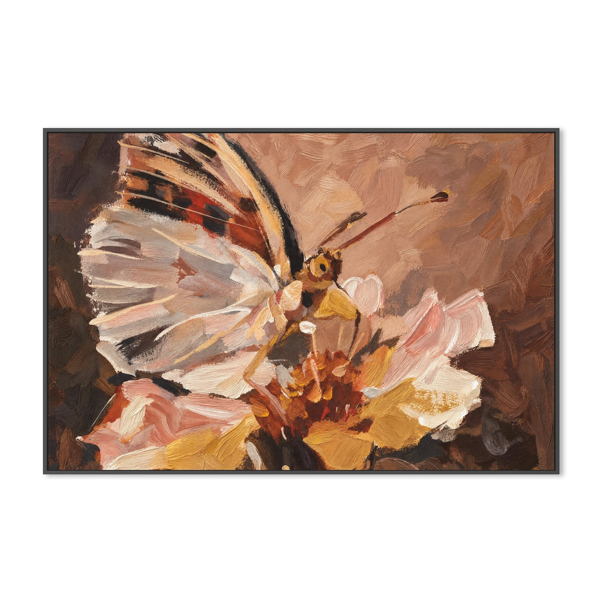 Butterfly in Peach Light