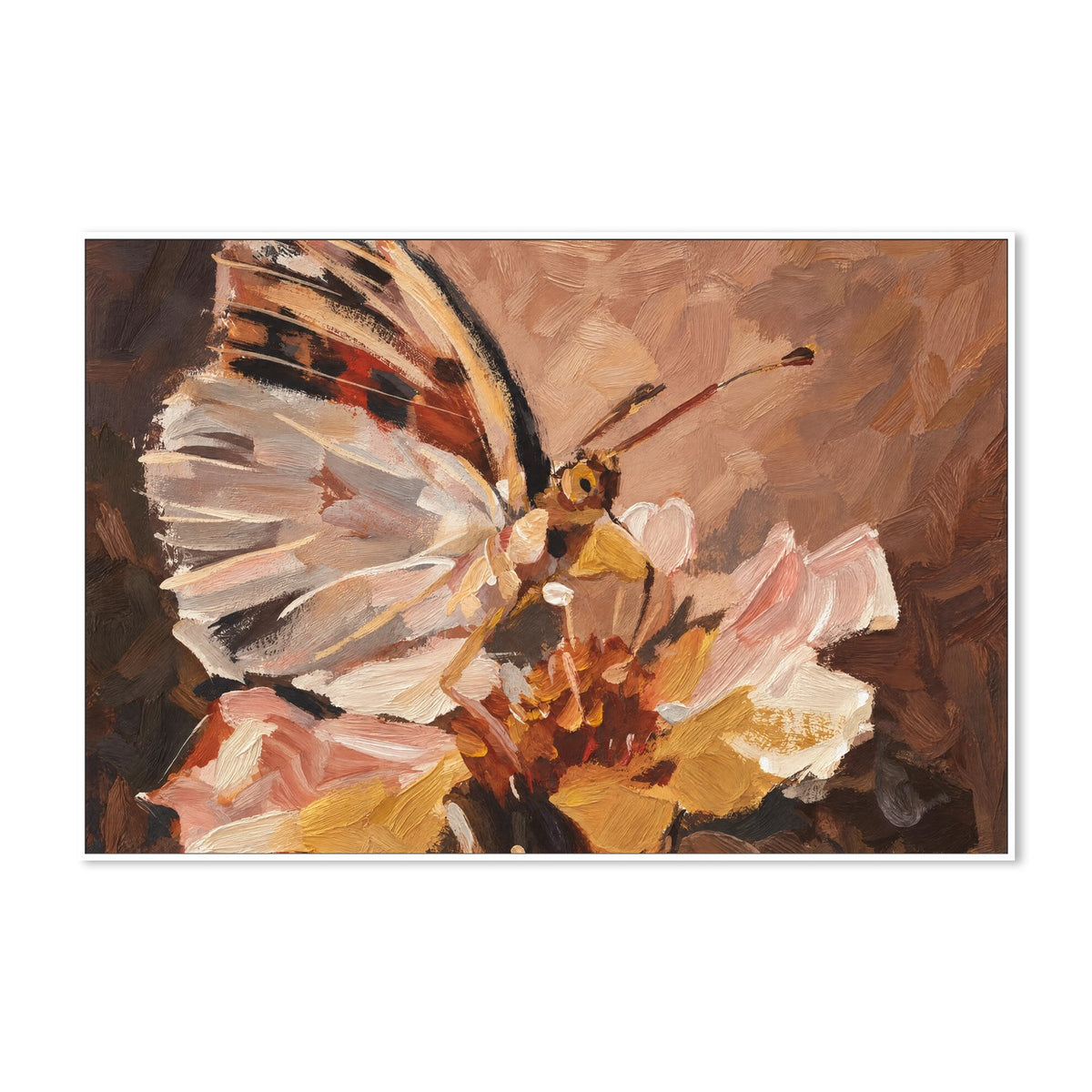 Butterfly in Peach Light