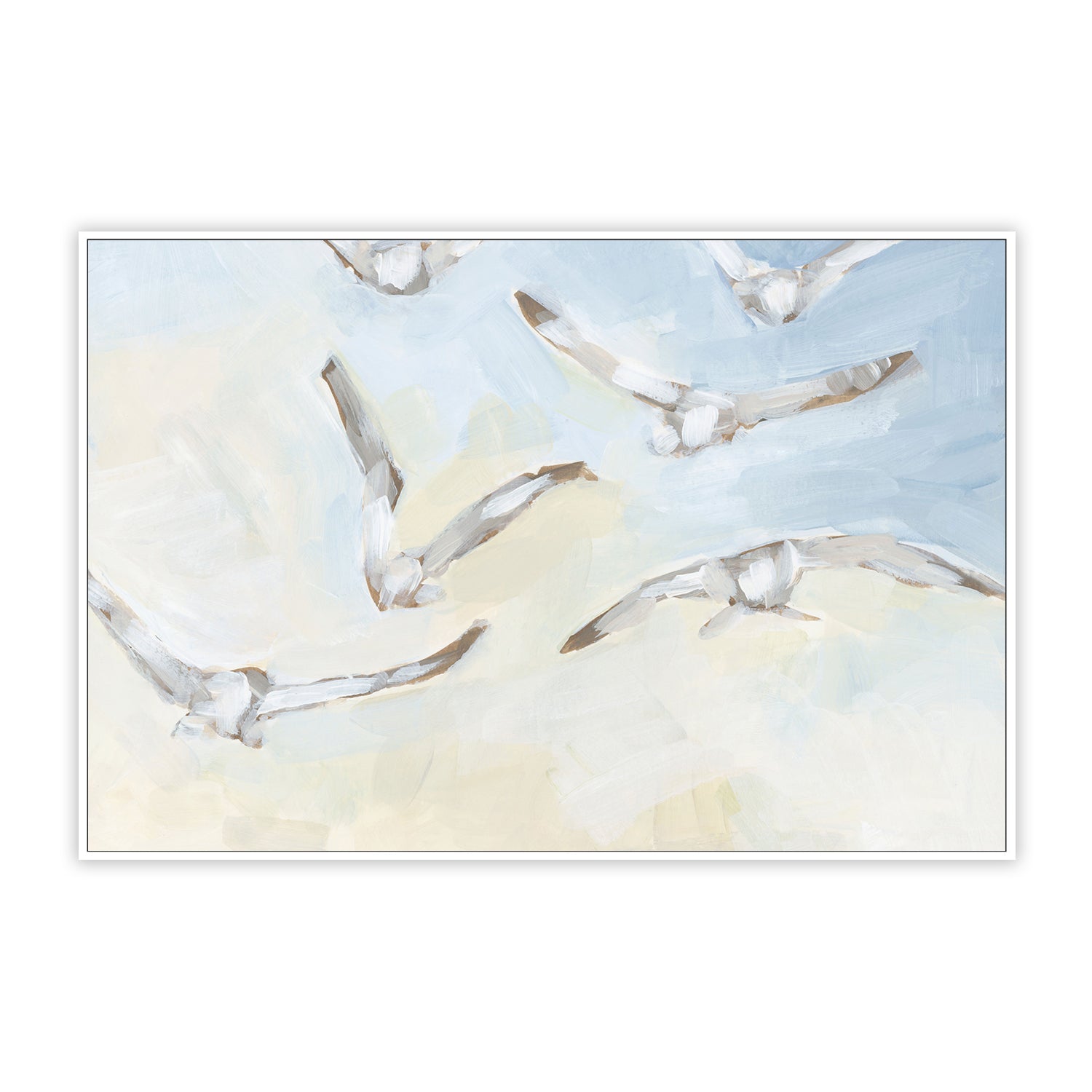 Seagulls In The Haze