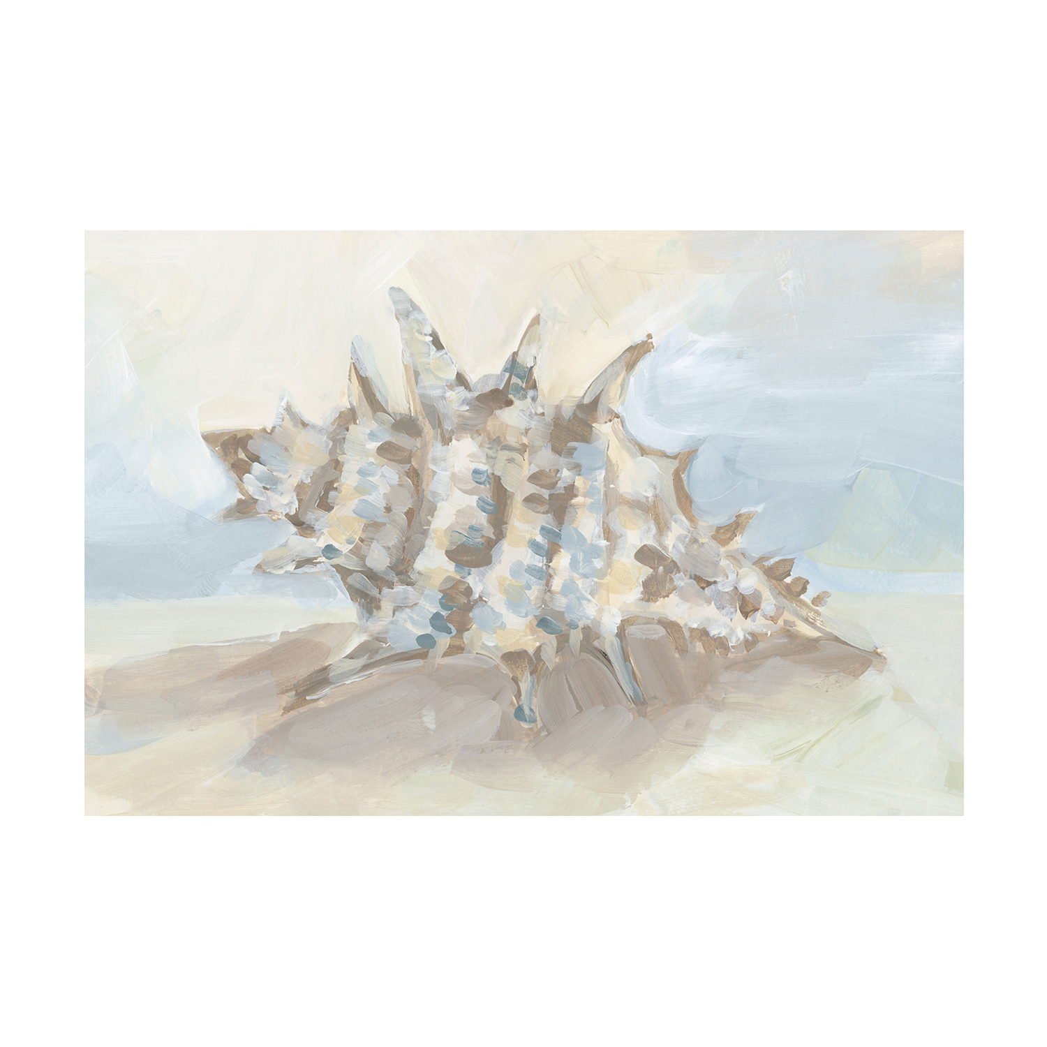Neutral Coastal Seashell , Style B
