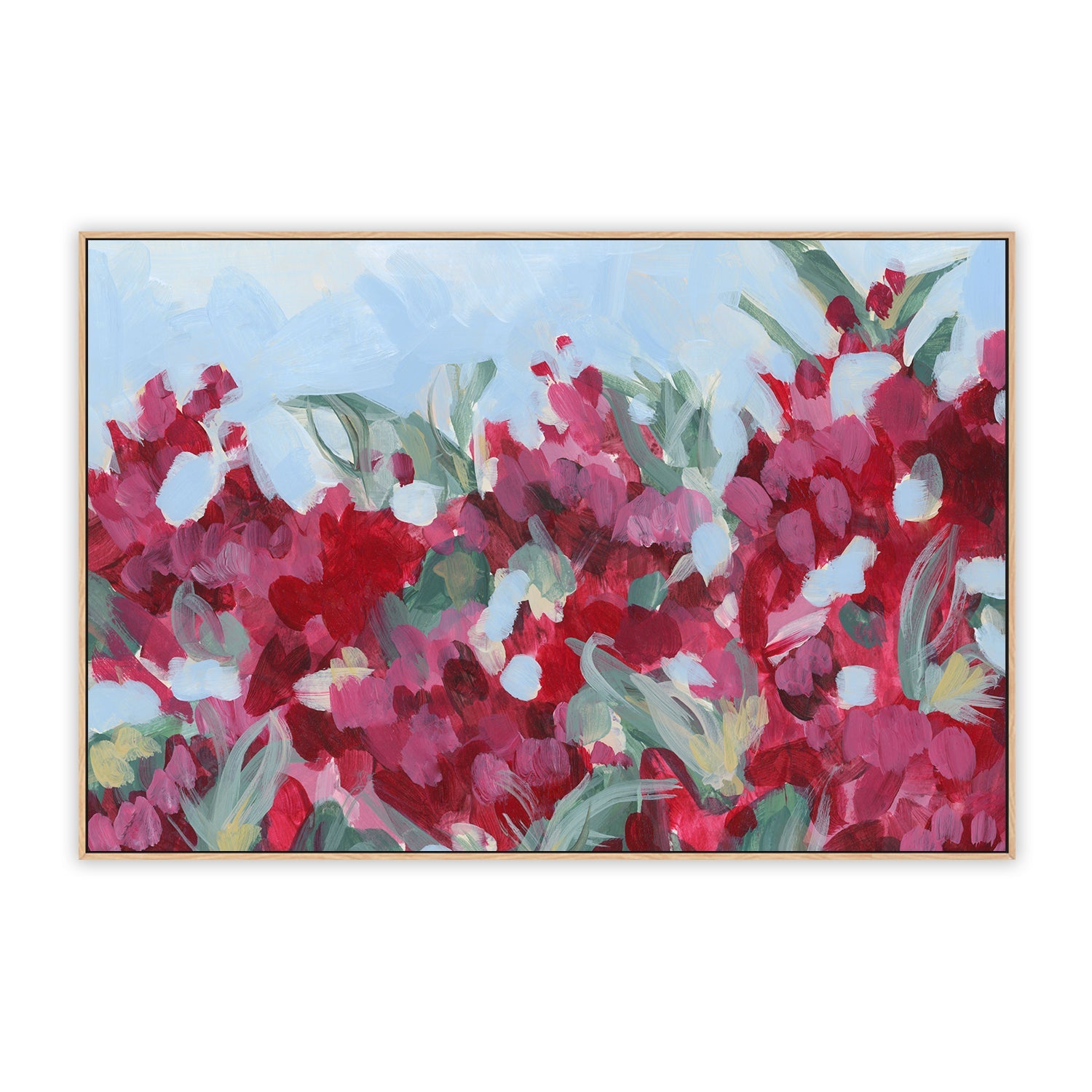 Bougainvillea Dream