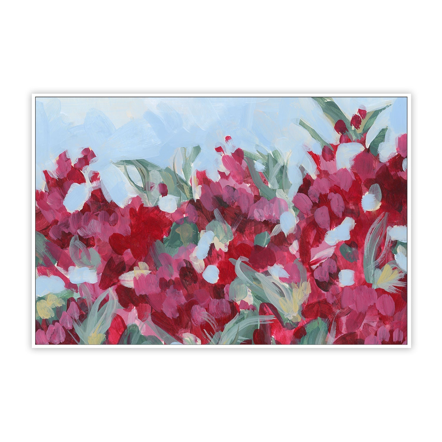 Bougainvillea Dream