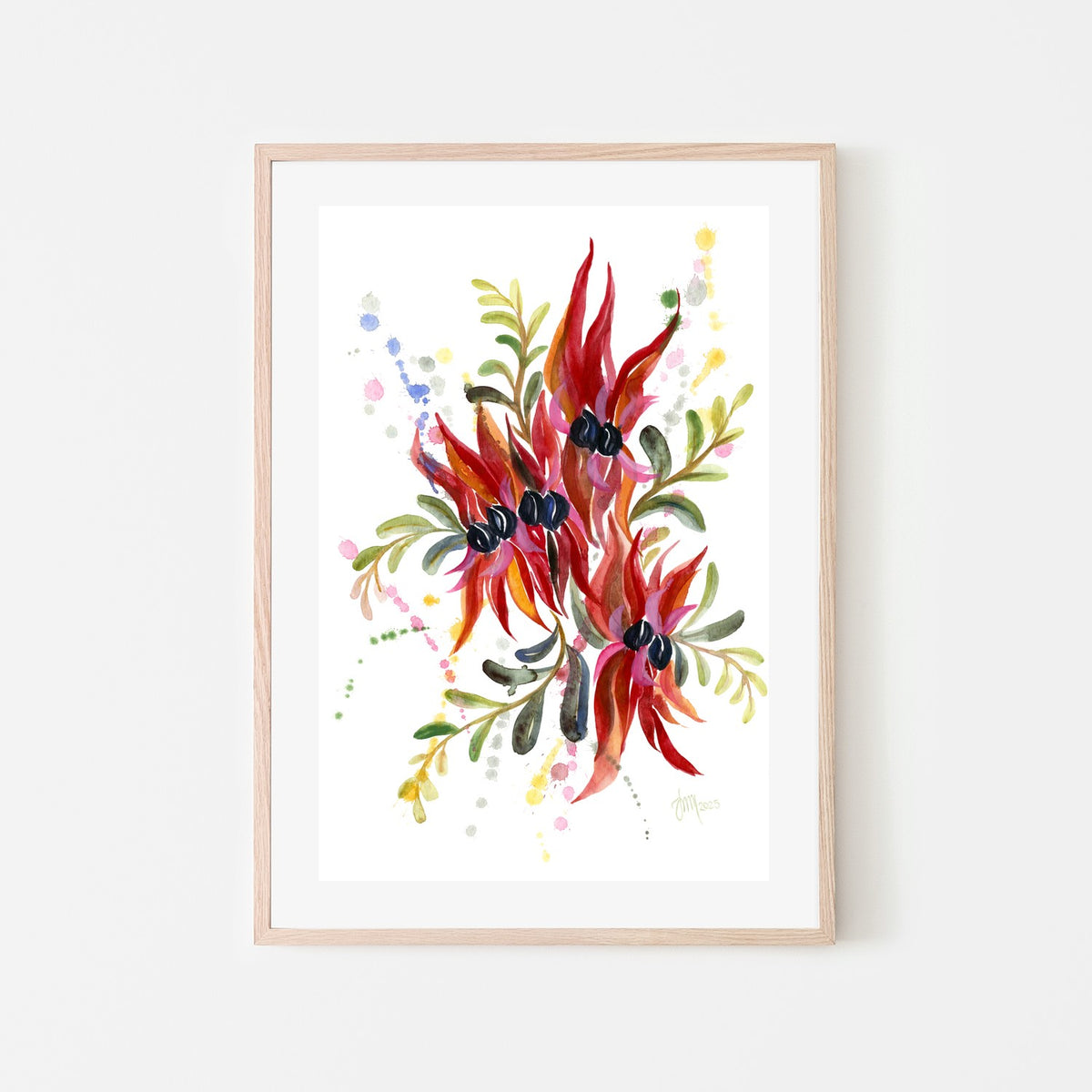 Sturt Desert Pea