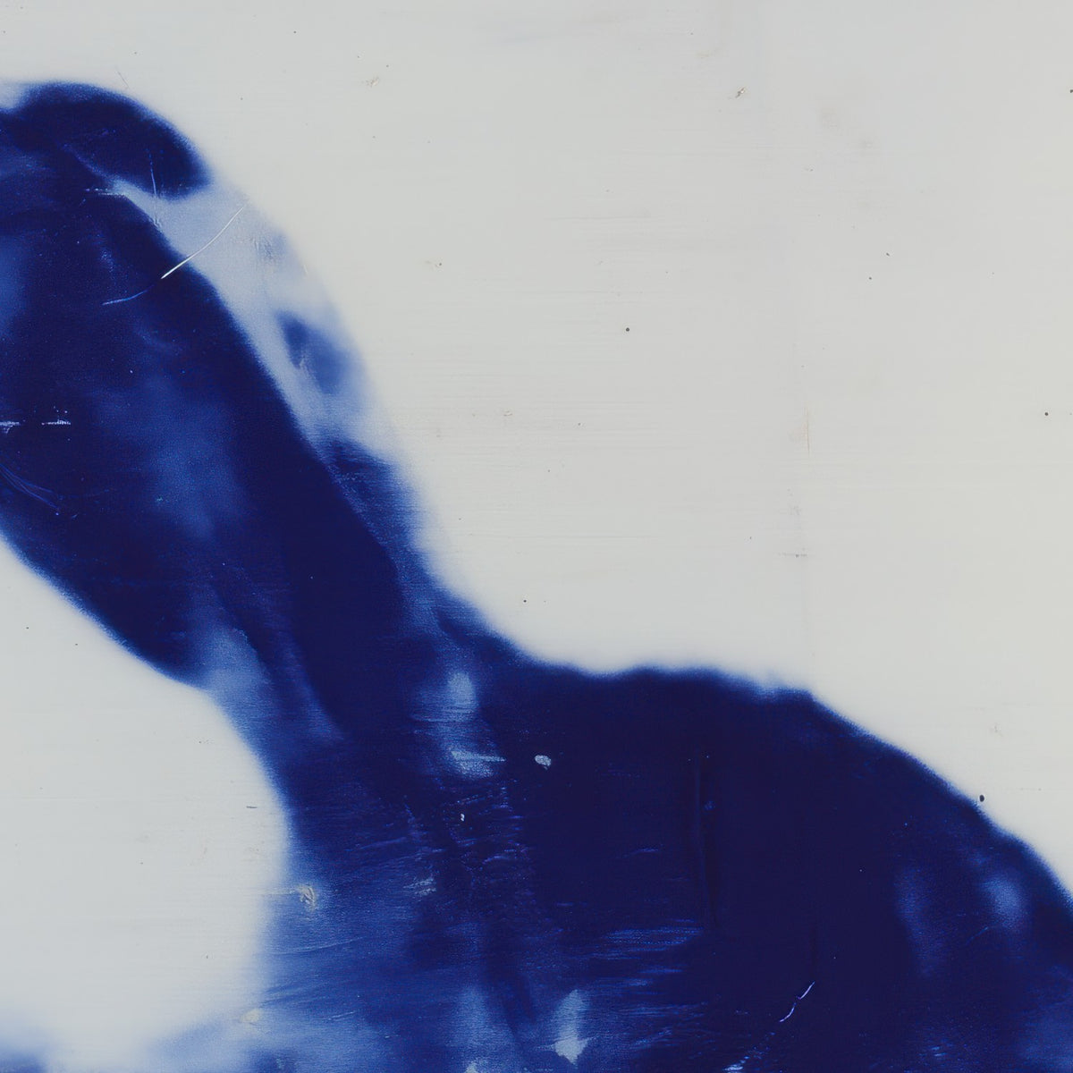 Blue Rabbit Silhouette with Wildflowers