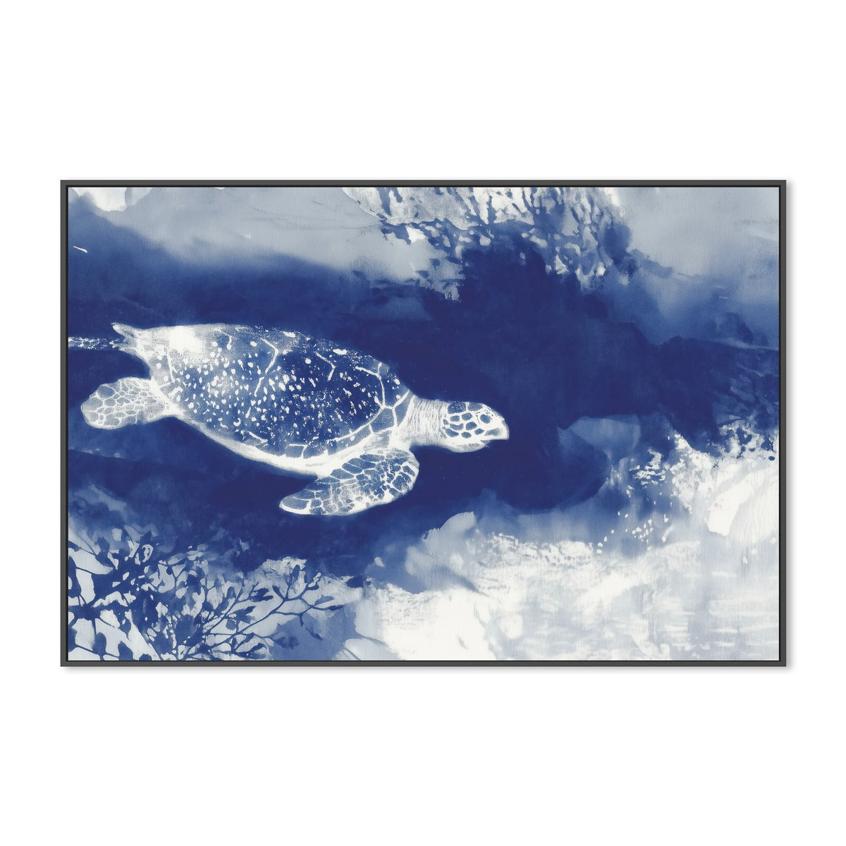 Sea Turtle Over Open Ocean