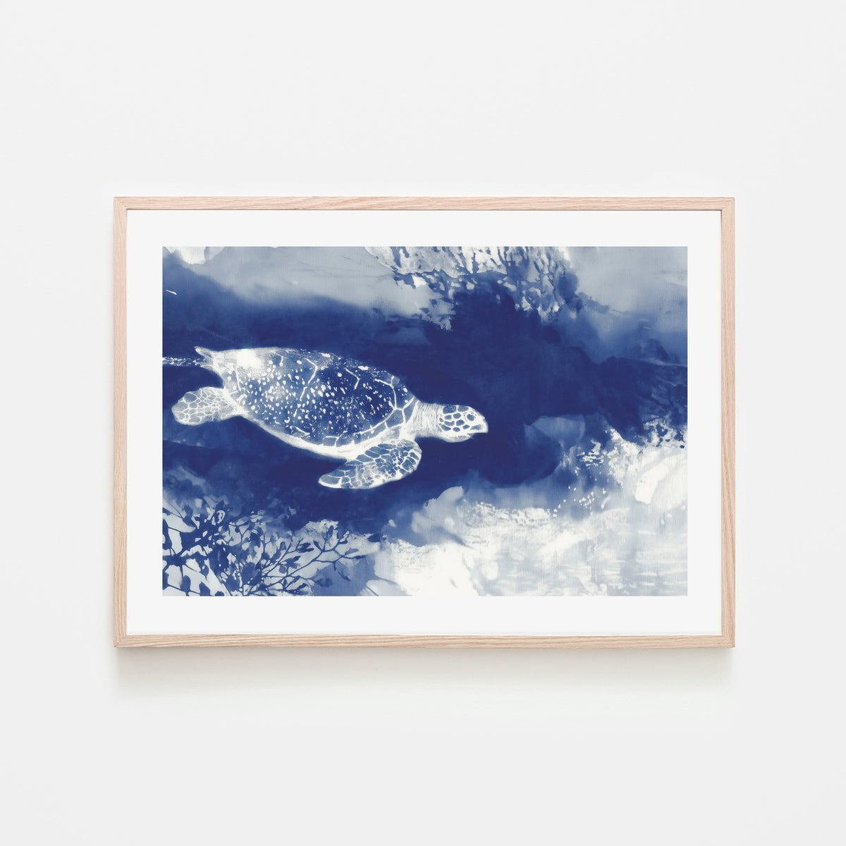 Sea Turtle Over Open Ocean