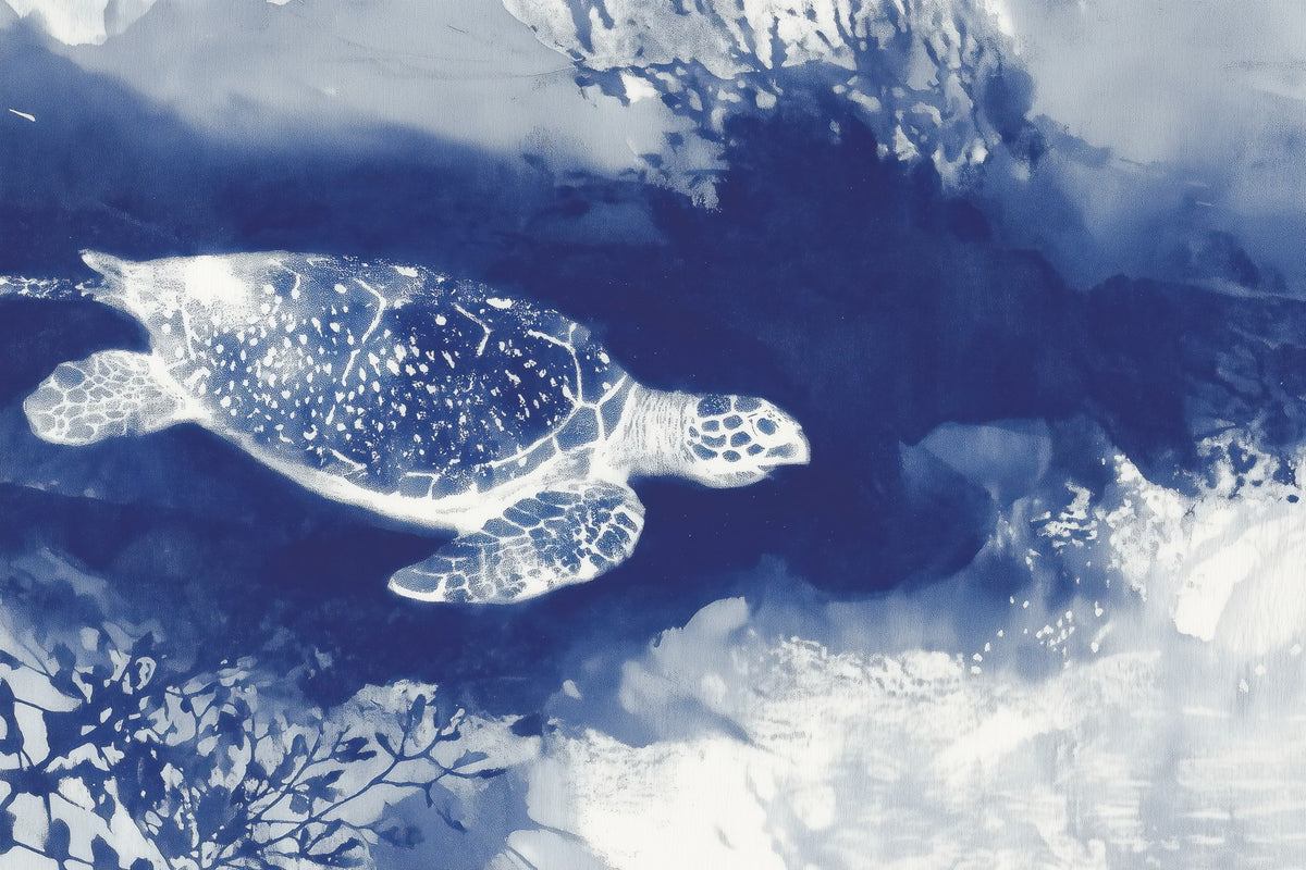 Sea Turtle Over Open Ocean