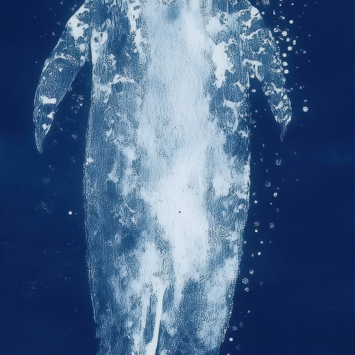 Rising Whale