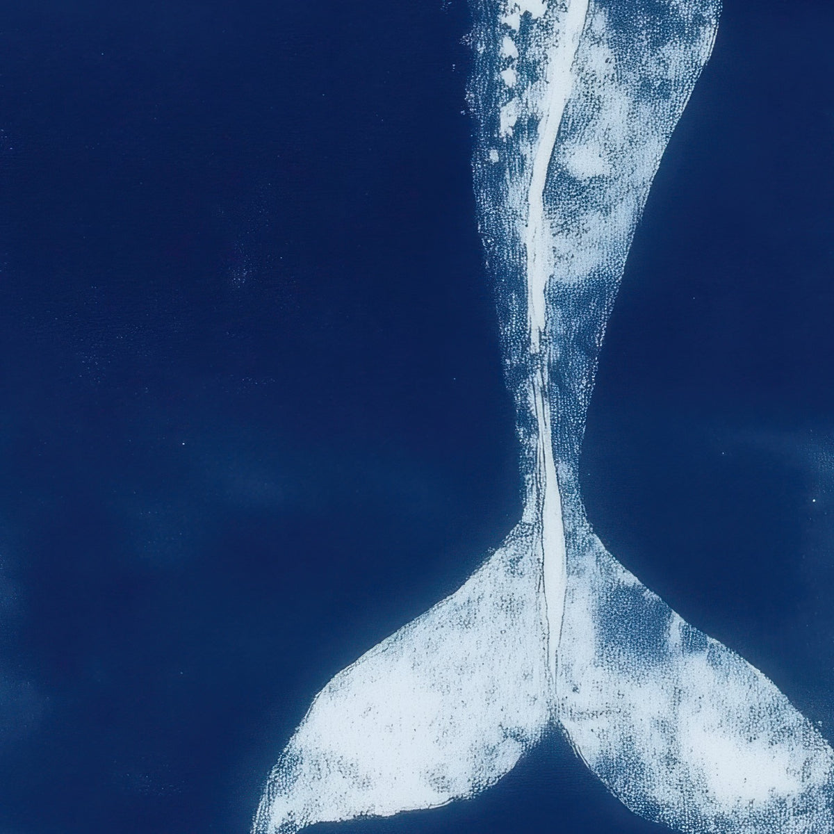 Rising Whale