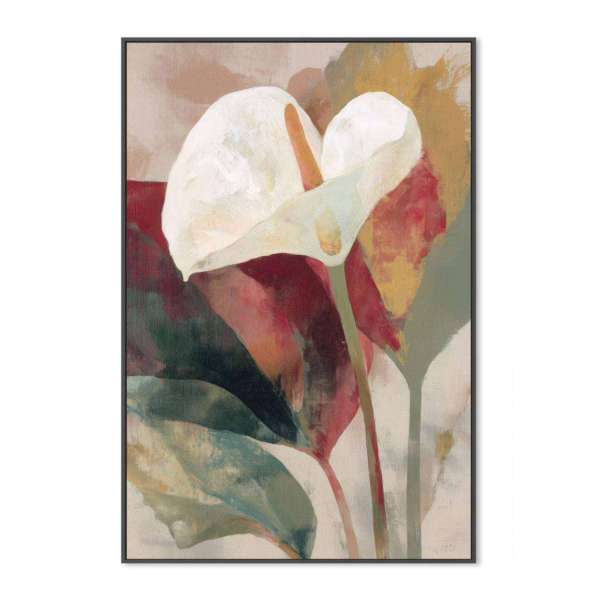 Anthurium in Soft Focus