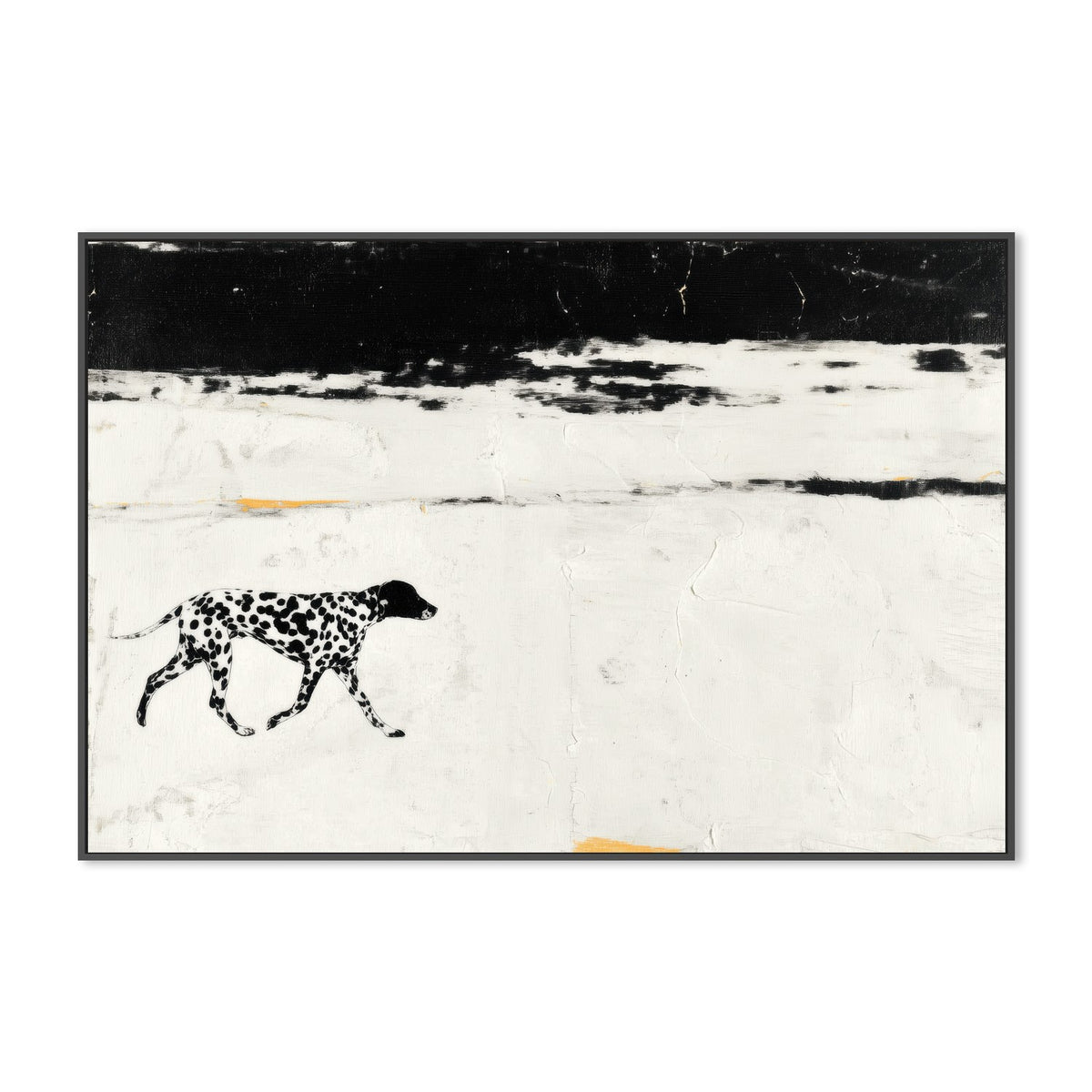 Dalmatian on the Shore