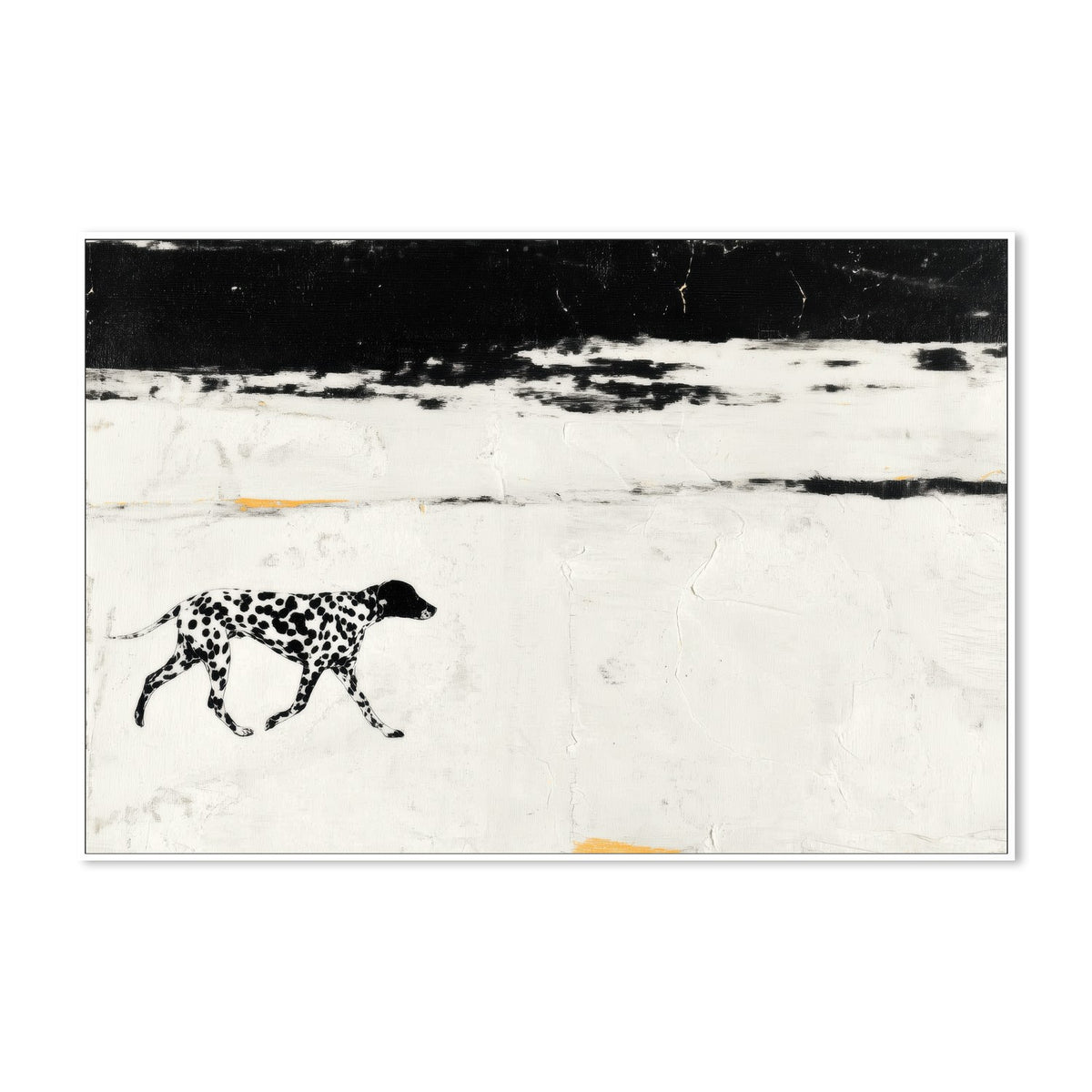 Dalmatian on the Shore
