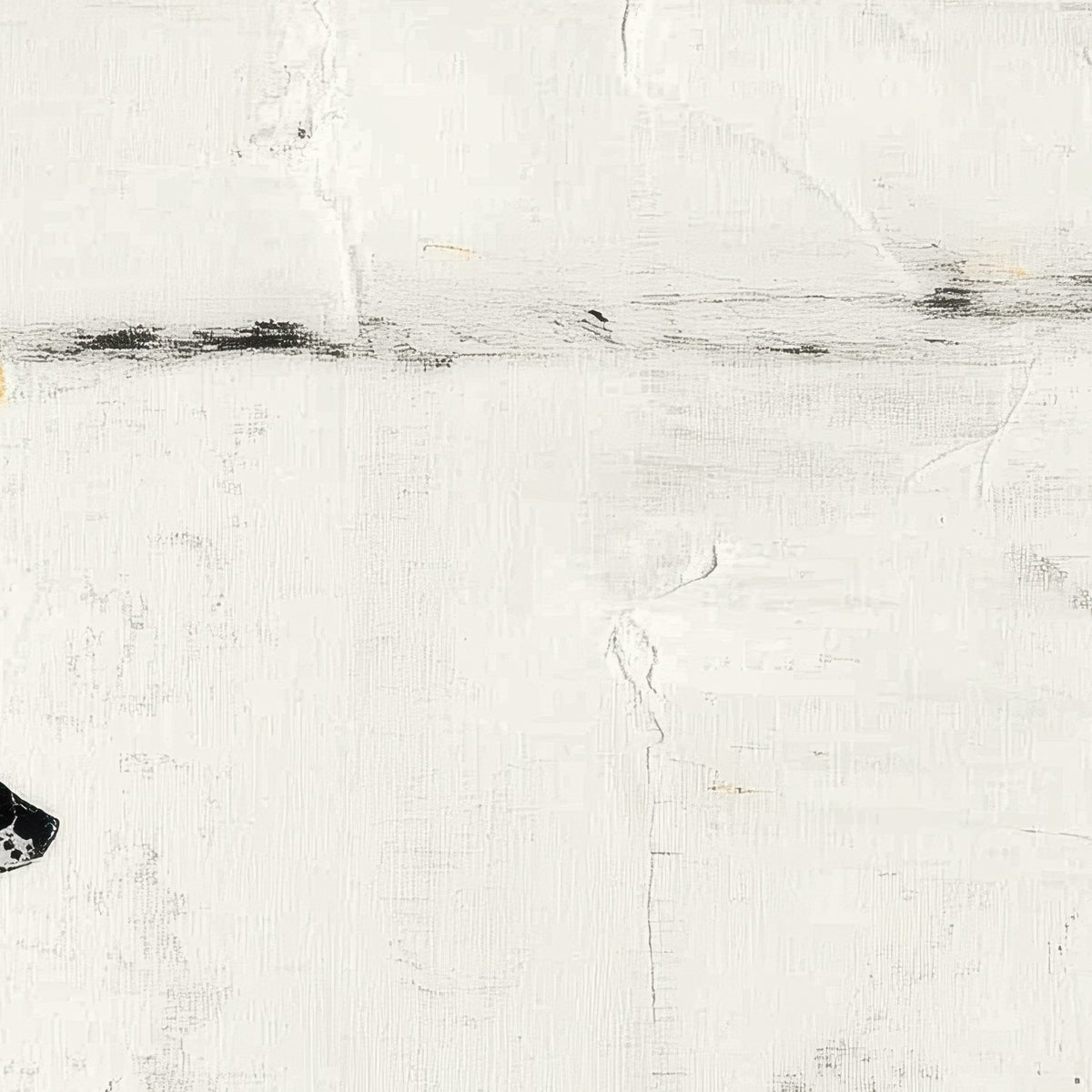 Dalmatian on the Shore