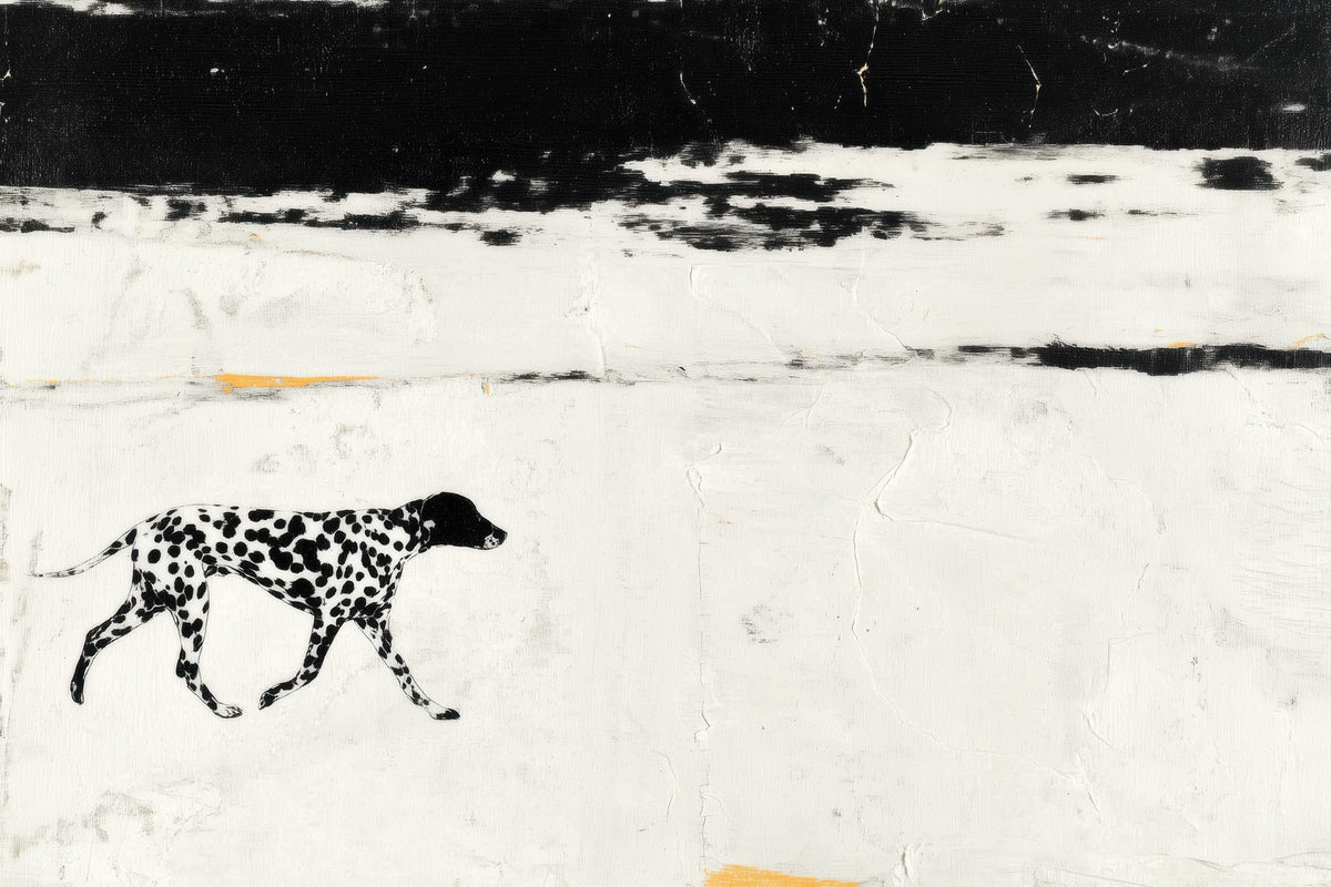Dalmatian on the Shore