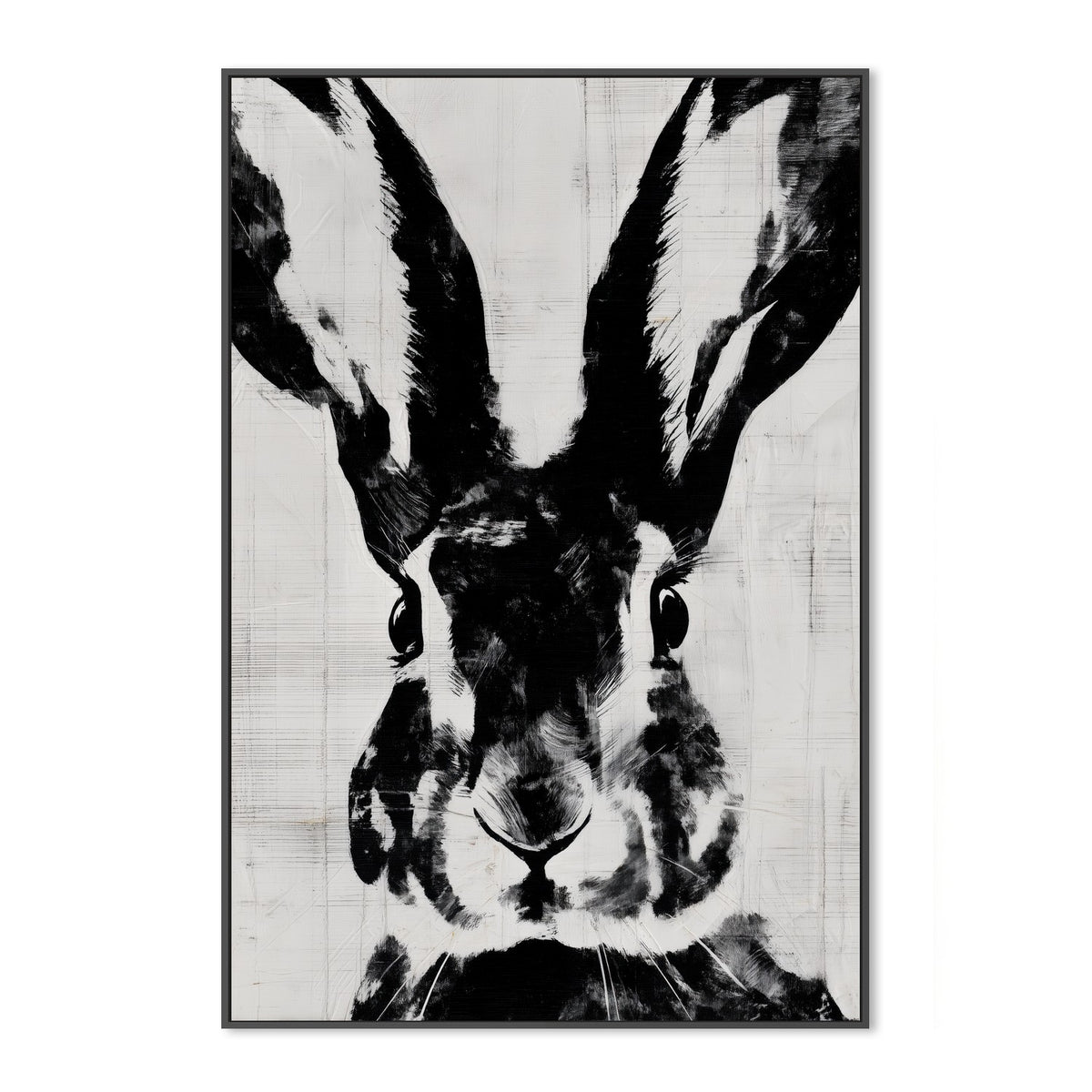 Rabbit Close Gaze