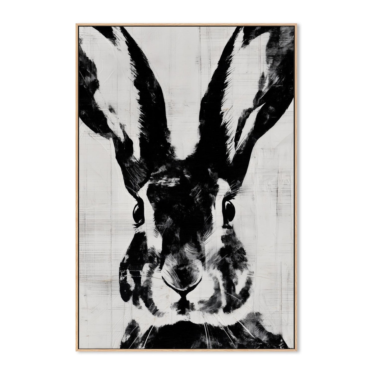 Rabbit Close Gaze