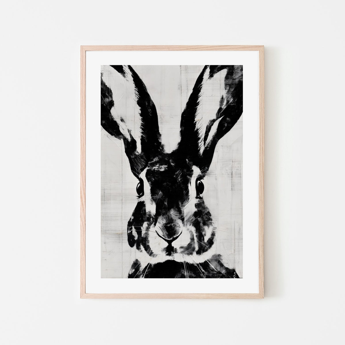 Rabbit Close Gaze