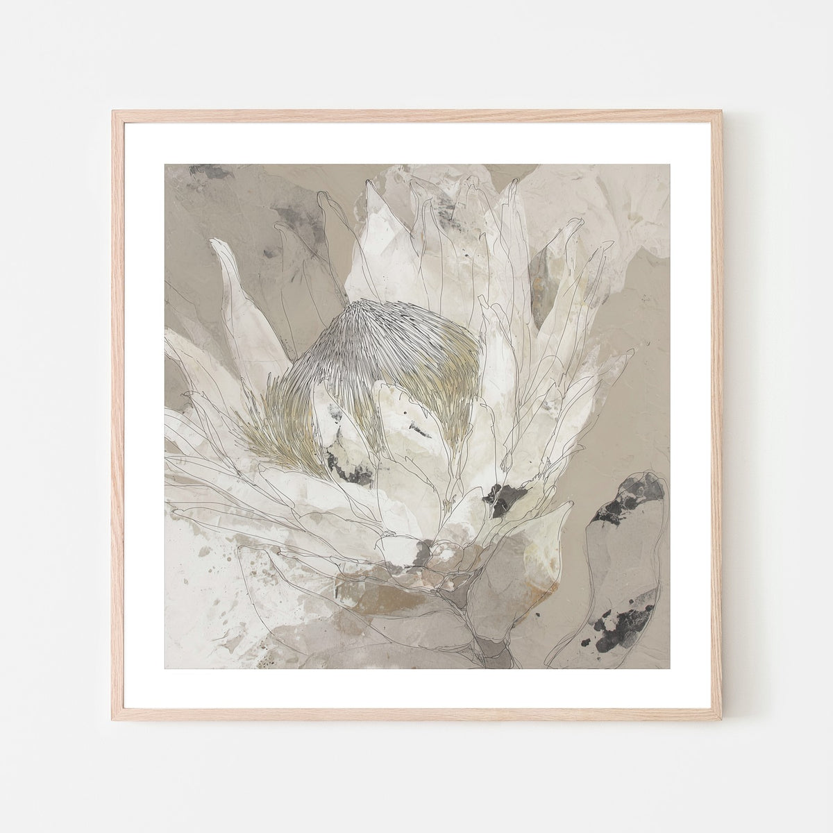 Etched Protea Bloom I