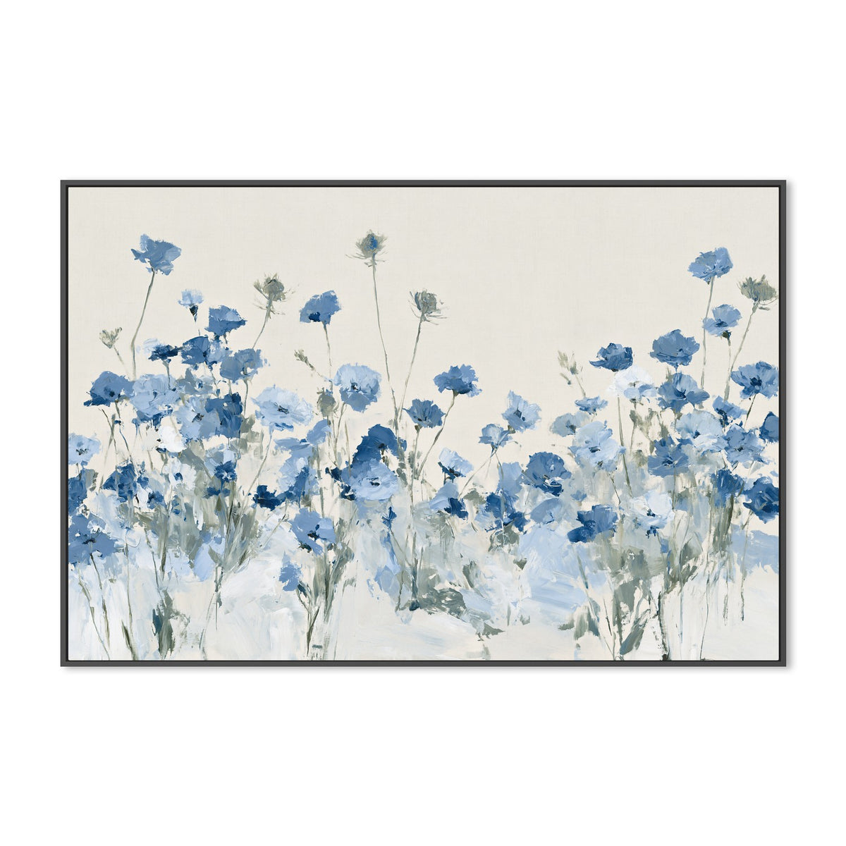 Field of Wild Asters