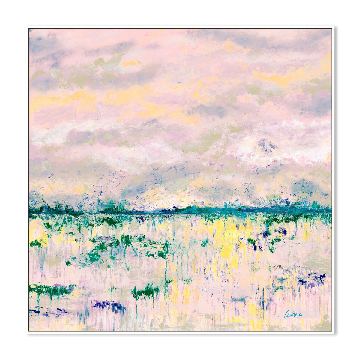 Blushing Paddock II