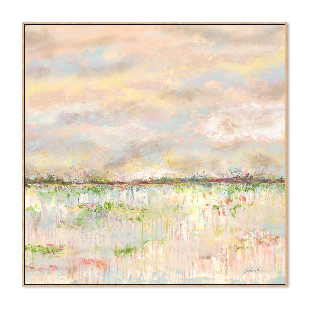 Blushing Paddock IV