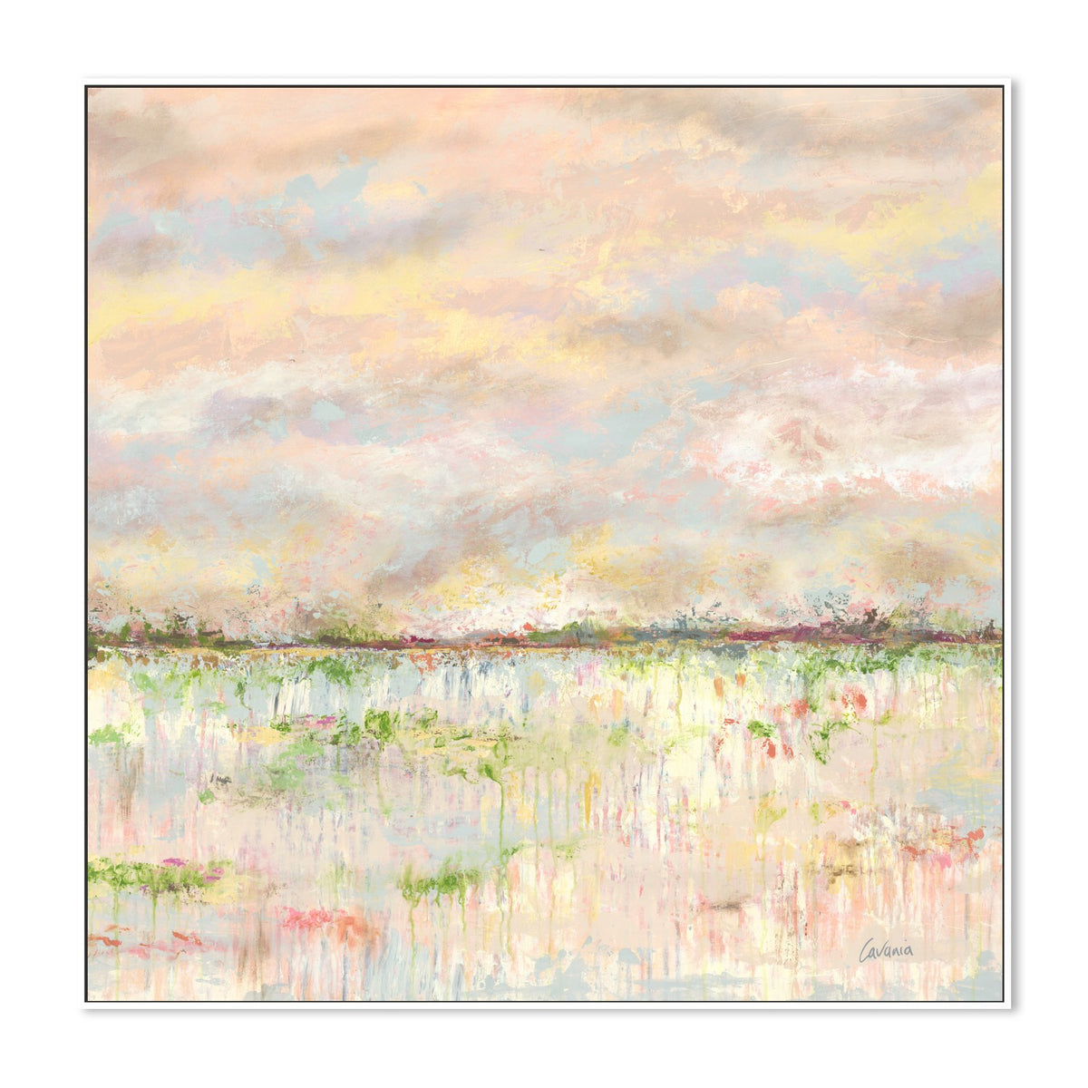 Blushing Paddock IV
