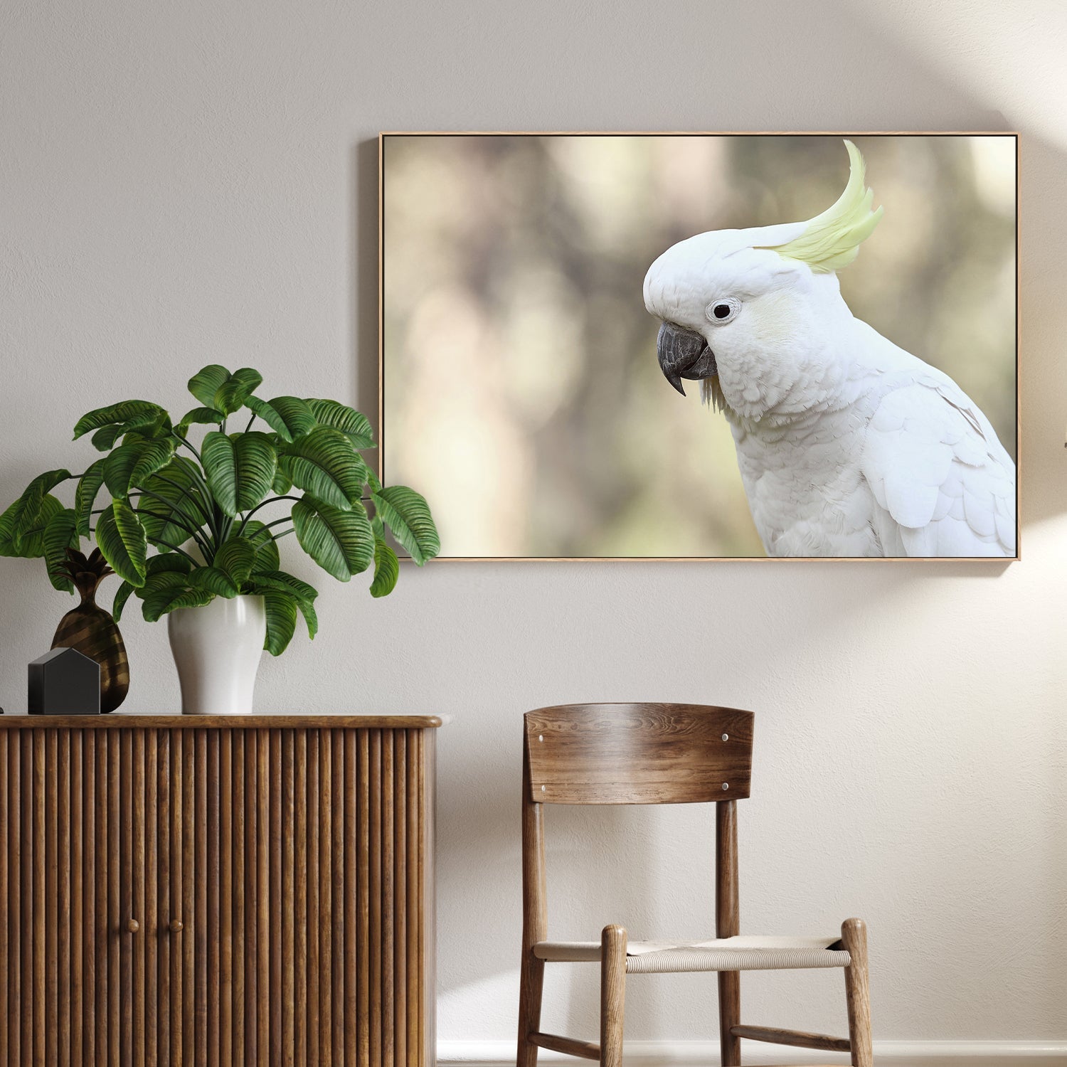 Charlie Cockatoo